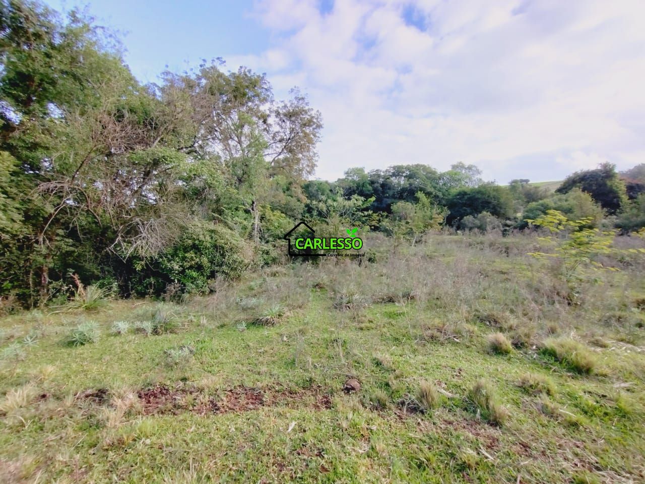 Chácara, 9 hectares - Foto 19