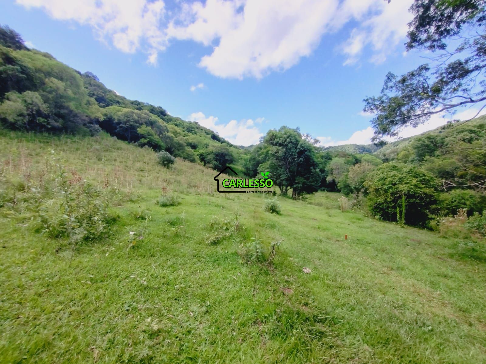 Sítio, 23 hectares - Foto 32