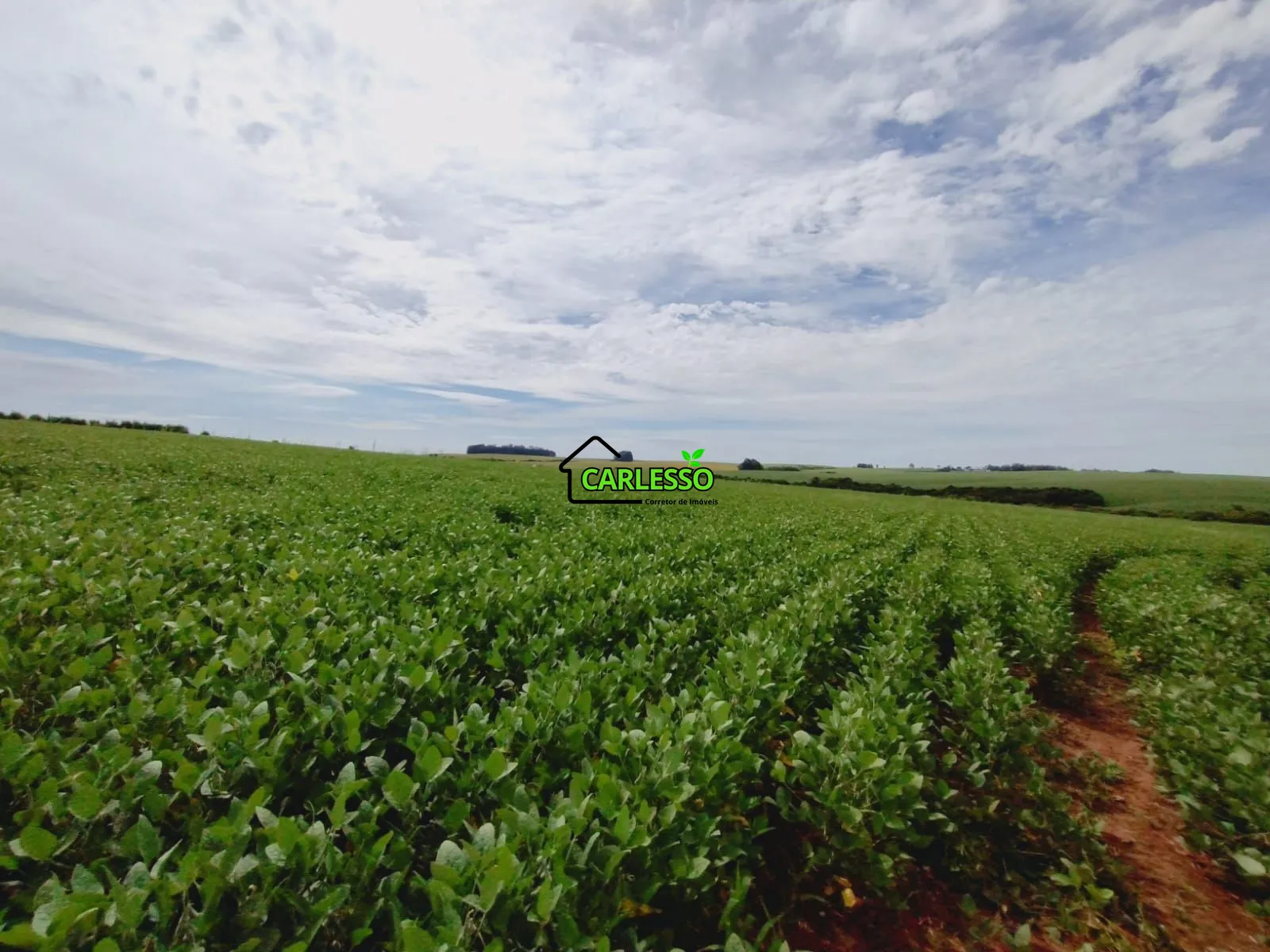 Sítio, 3 quartos, 25 hectares - Foto 7