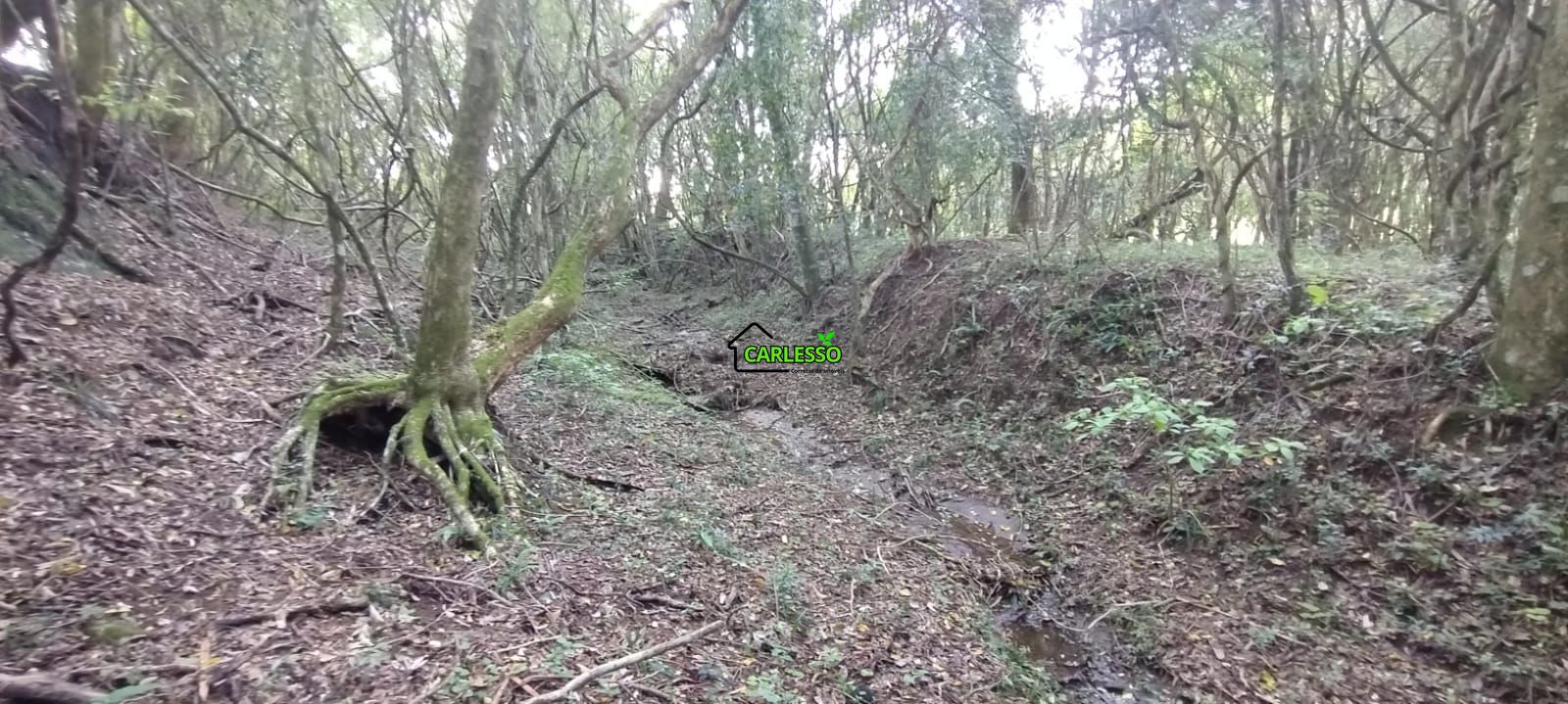 Área rural de 5 ha