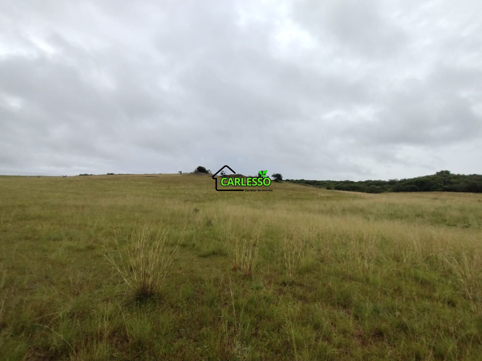 Fazenda de 80 ha em Alegrete