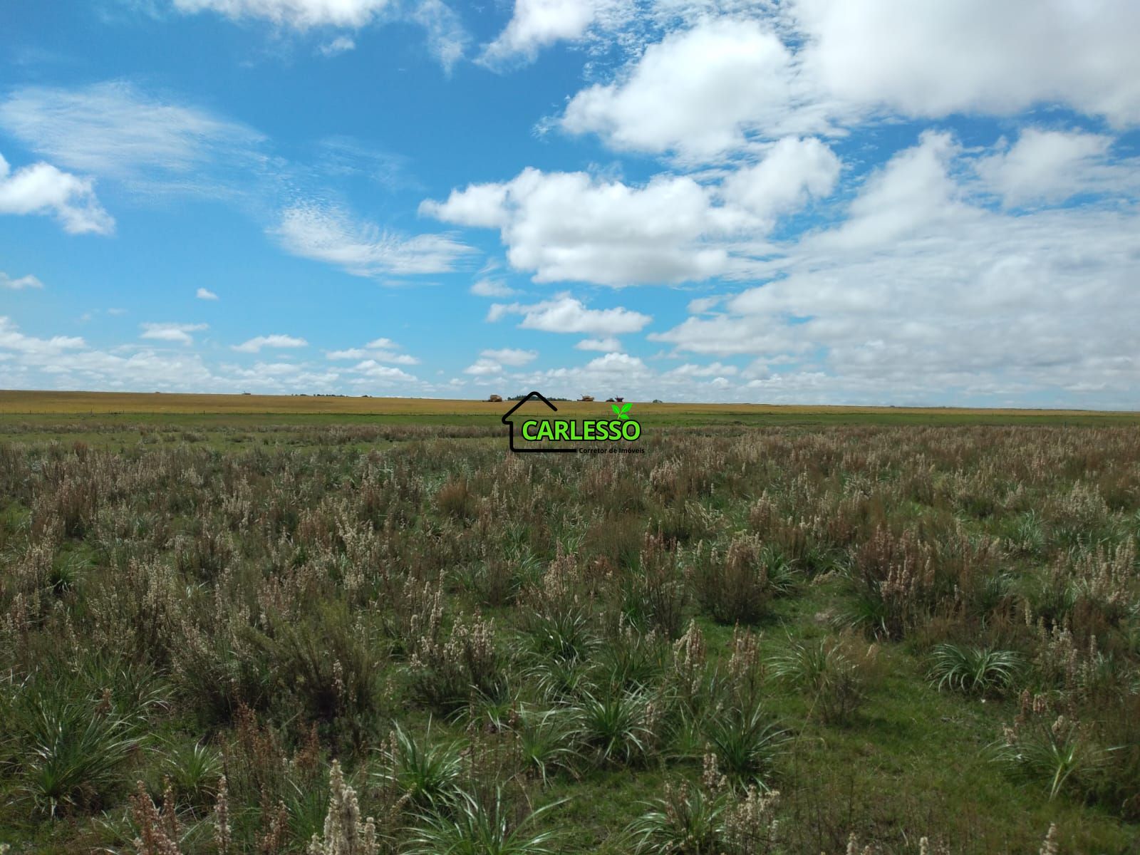 Fazenda de 65 ha