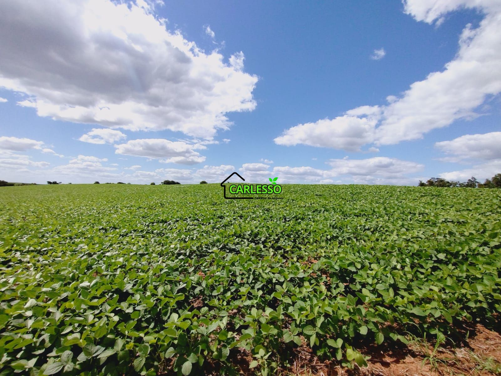 Sítio, 25 hectares - Foto 11