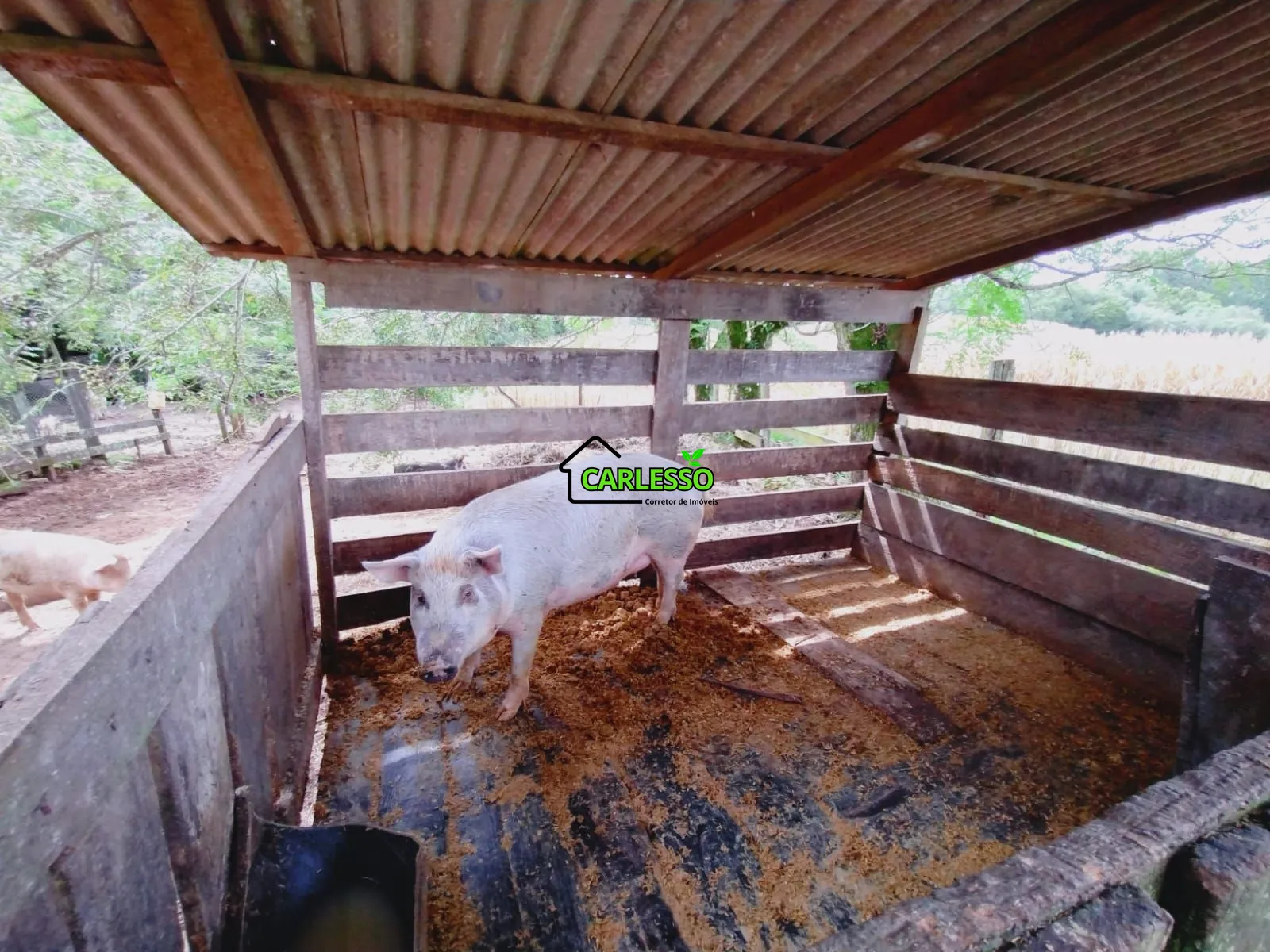 Sítio, 3 quartos, 25 hectares - Foto 23