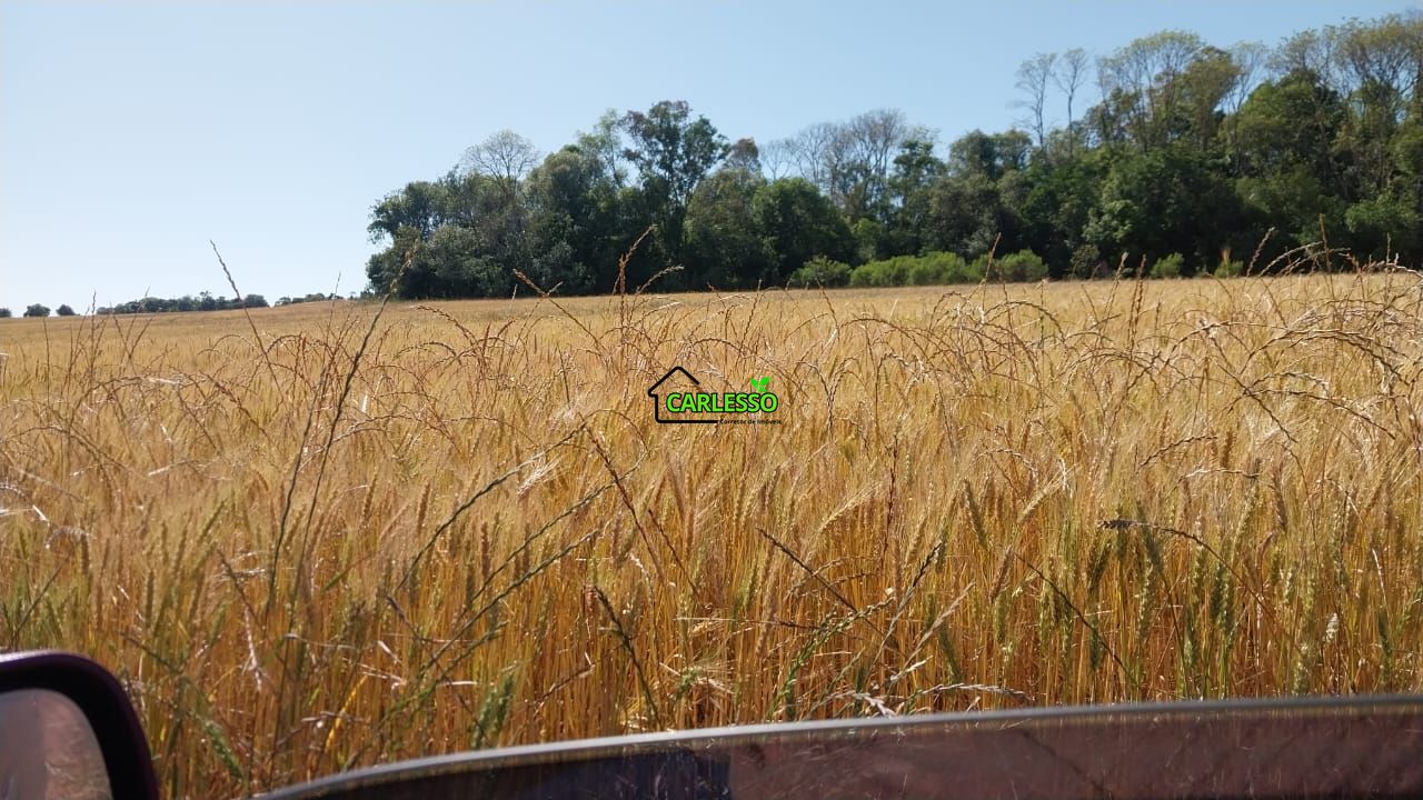Área de 11,4 ha com casa