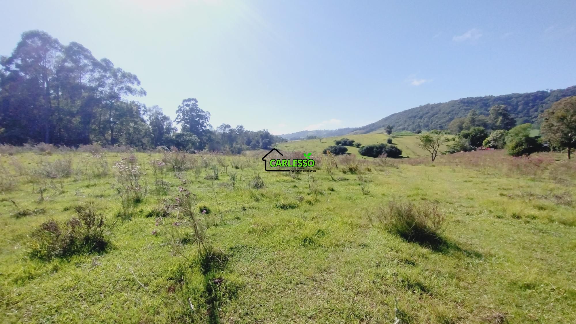 Sítio, 18 hectares - Foto 5