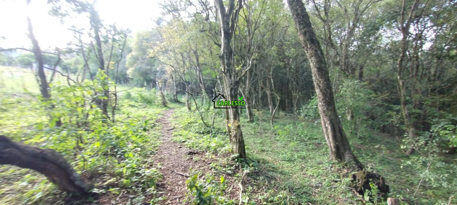 Área rural de 5 ha