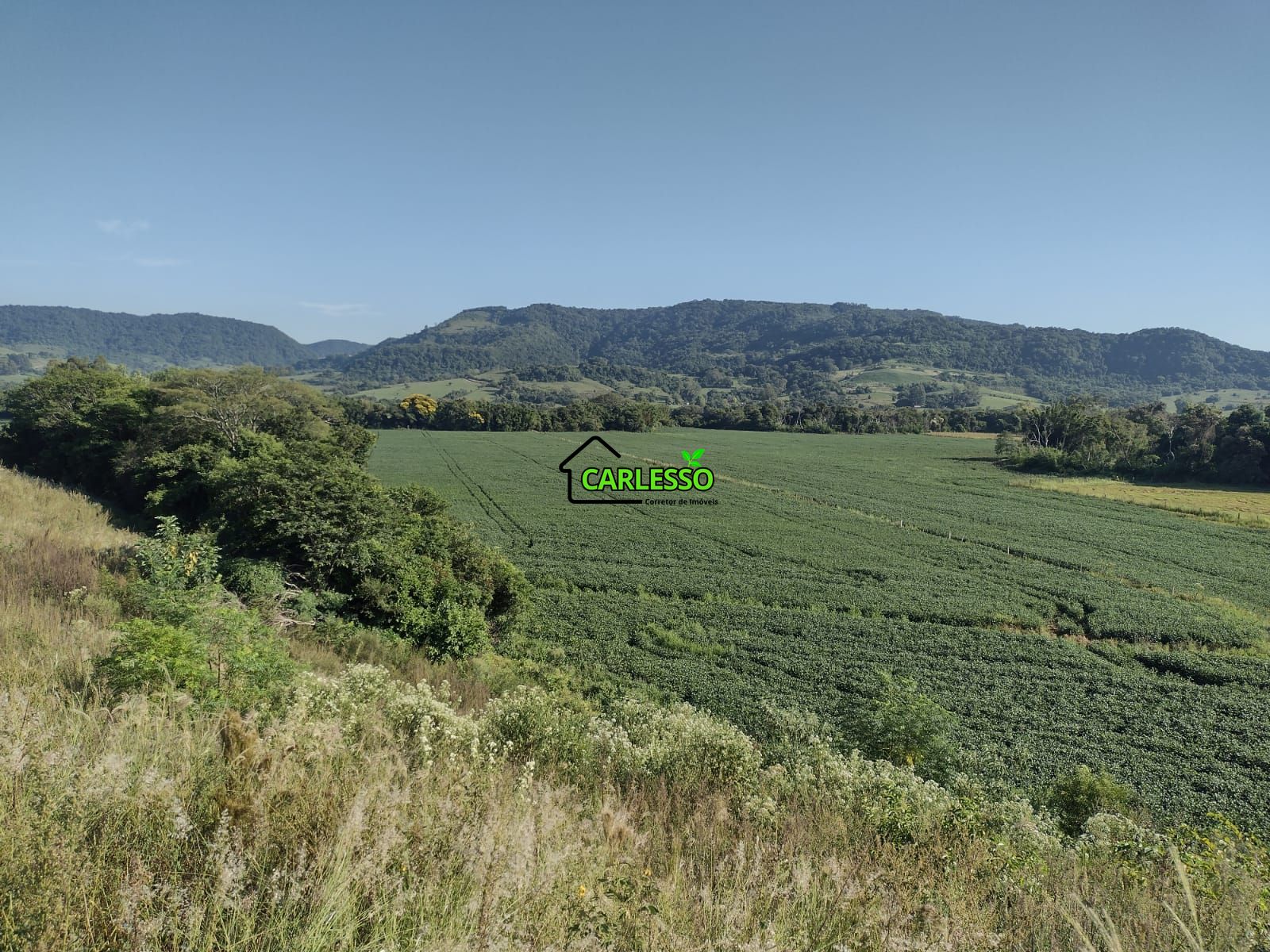 Área de 8,5 ha a venda
