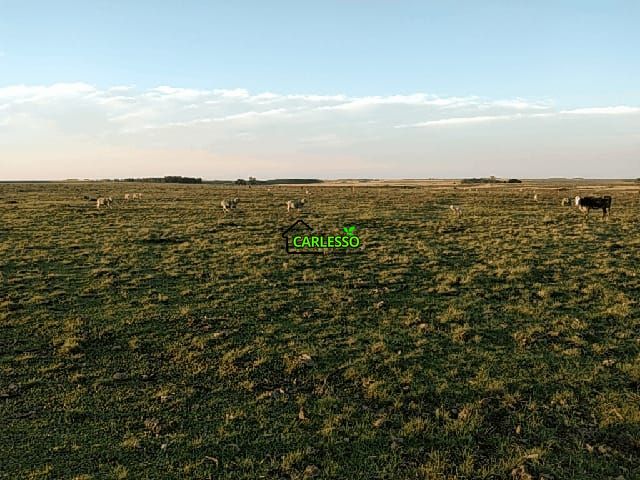 Fazenda de 65 ha