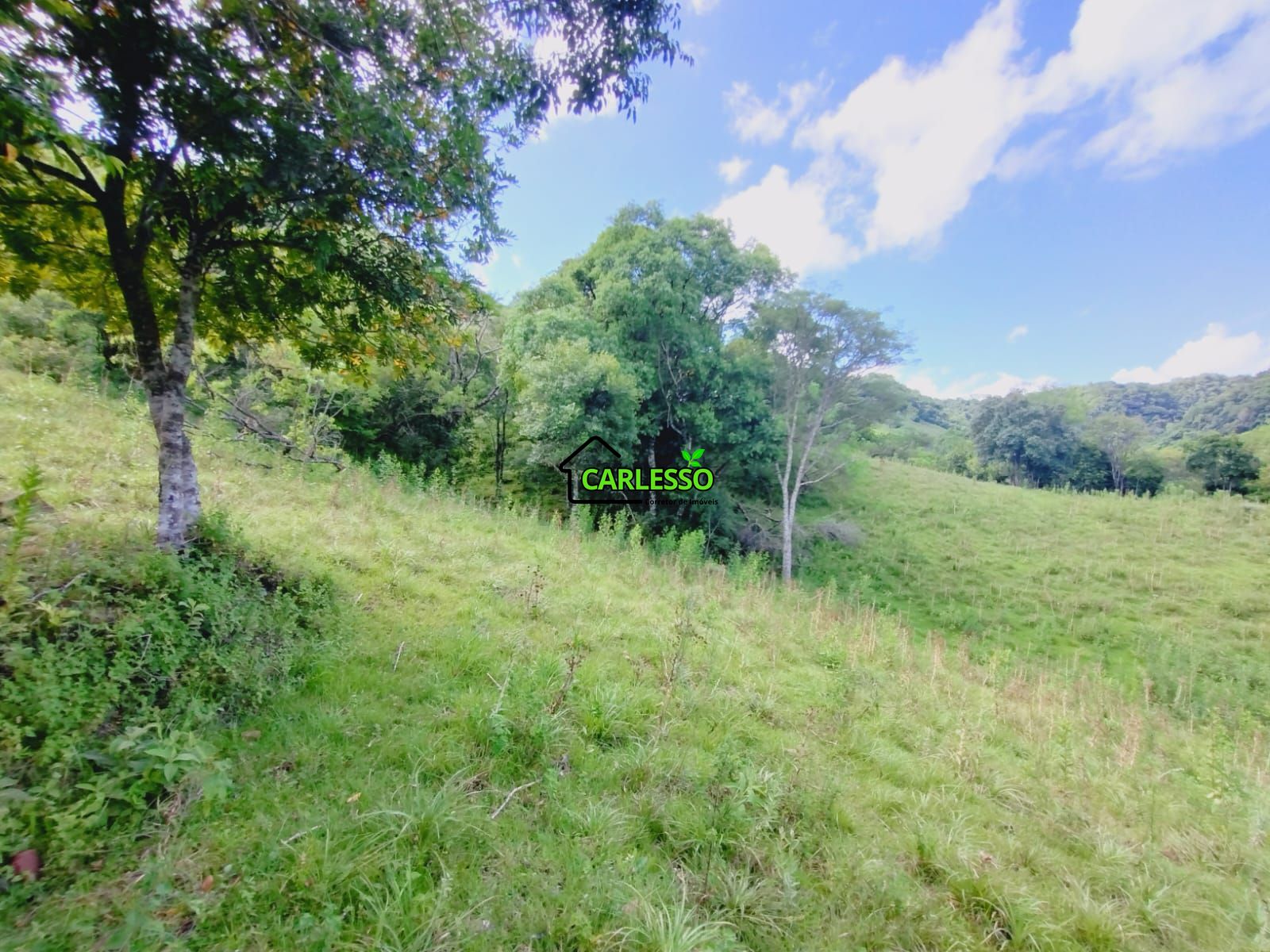 Sítio, 23 hectares - Foto 20