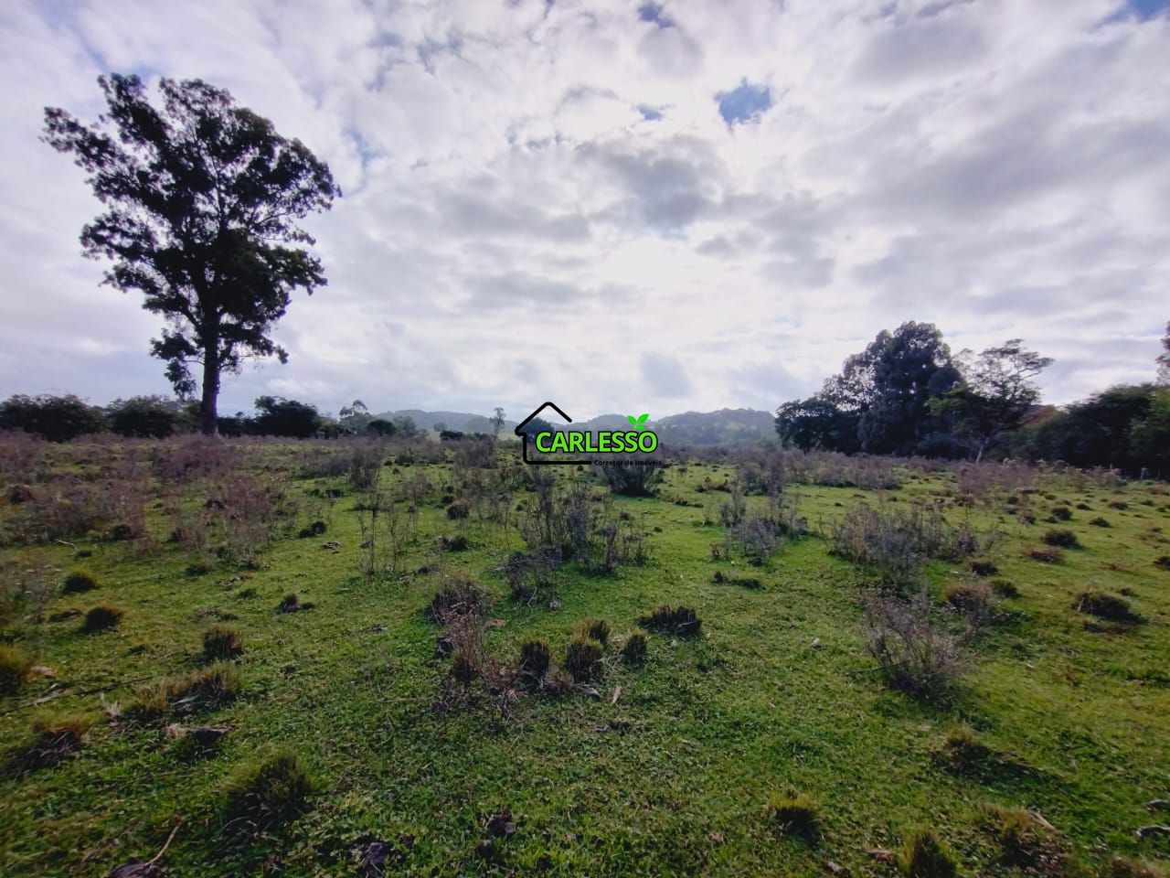 Chácara, 9 hectares - Foto 37