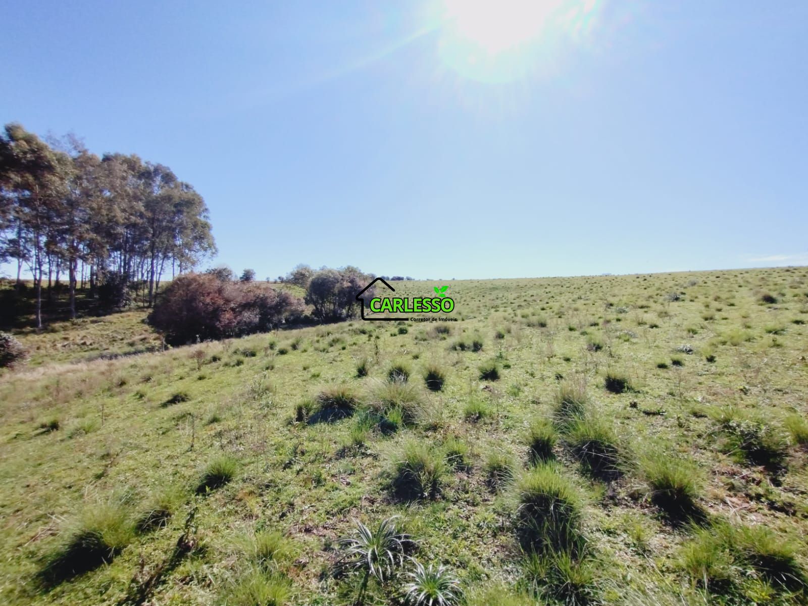 Chácara, 3 quartos, 12 hectares - Foto 30