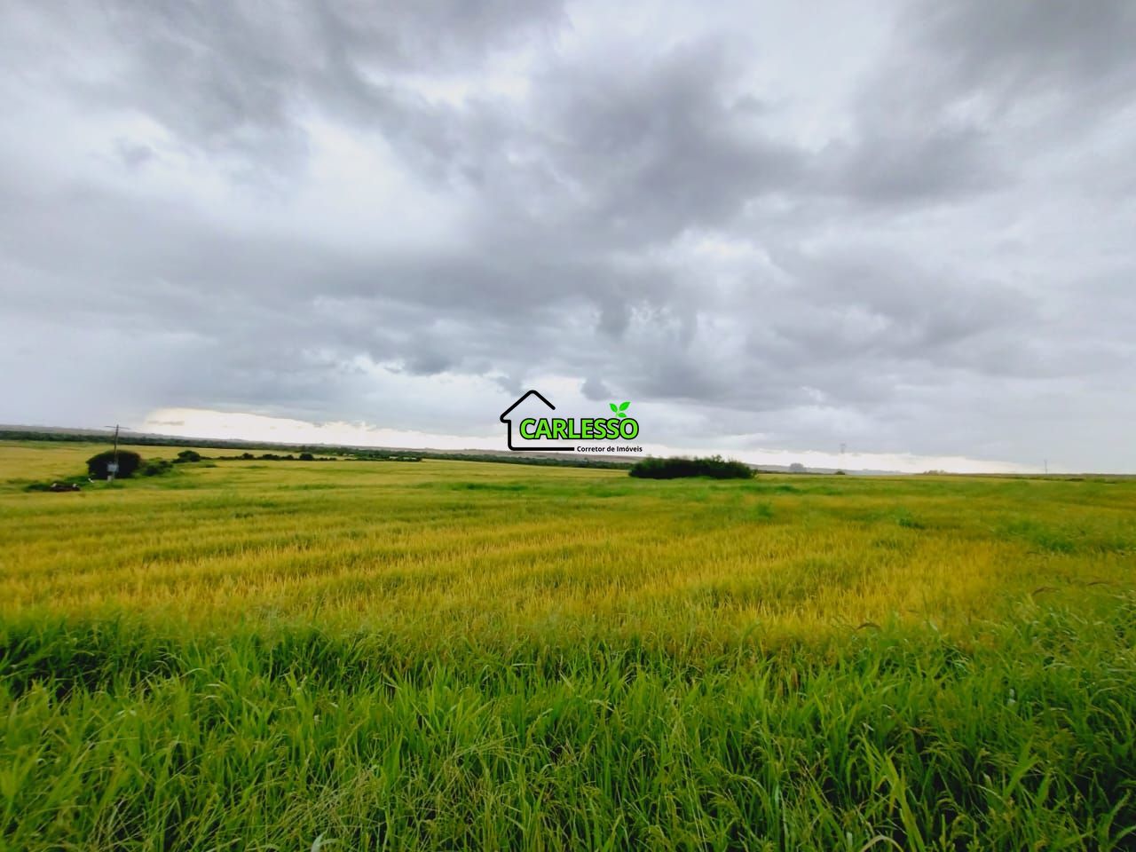 Fazenda, 119 hectares - Foto 21