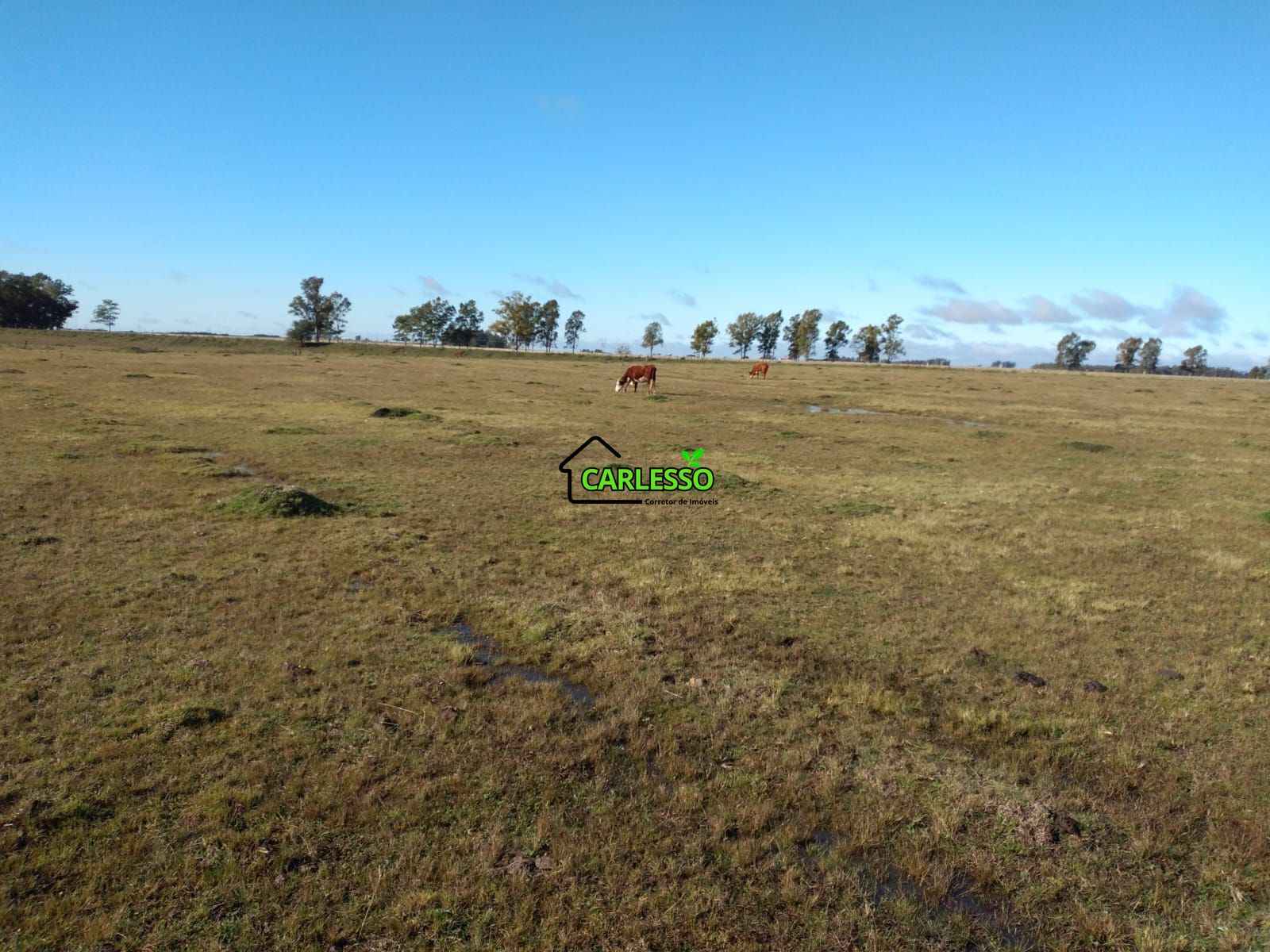 Fazenda de 65 ha