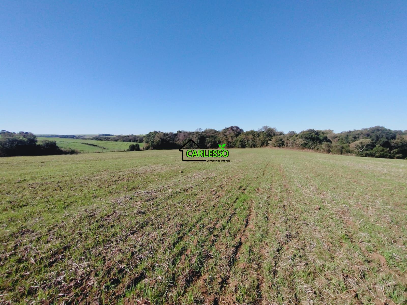 Sítio, 19 hectares - Foto 40