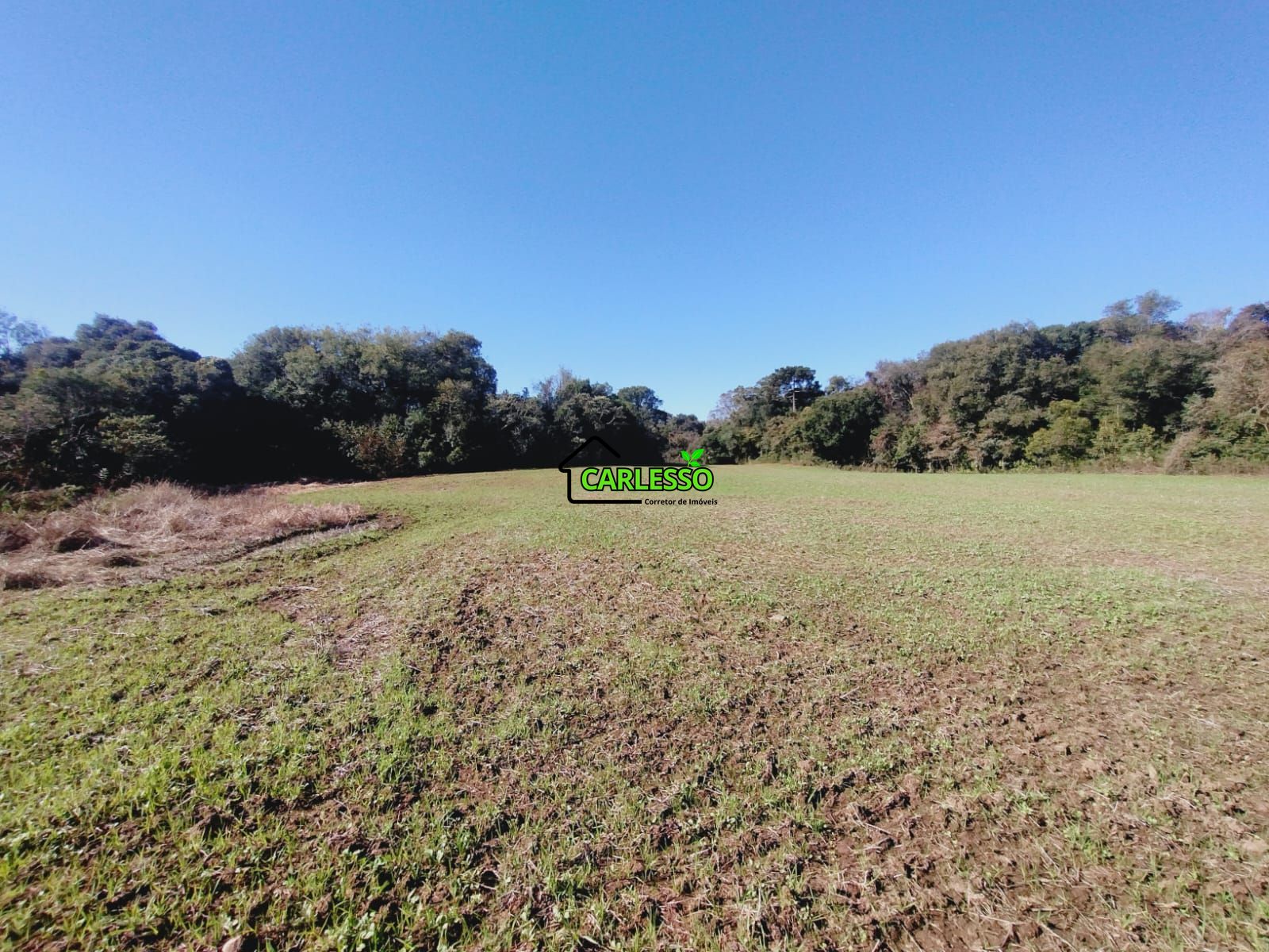Sítio, 19 hectares - Foto 45