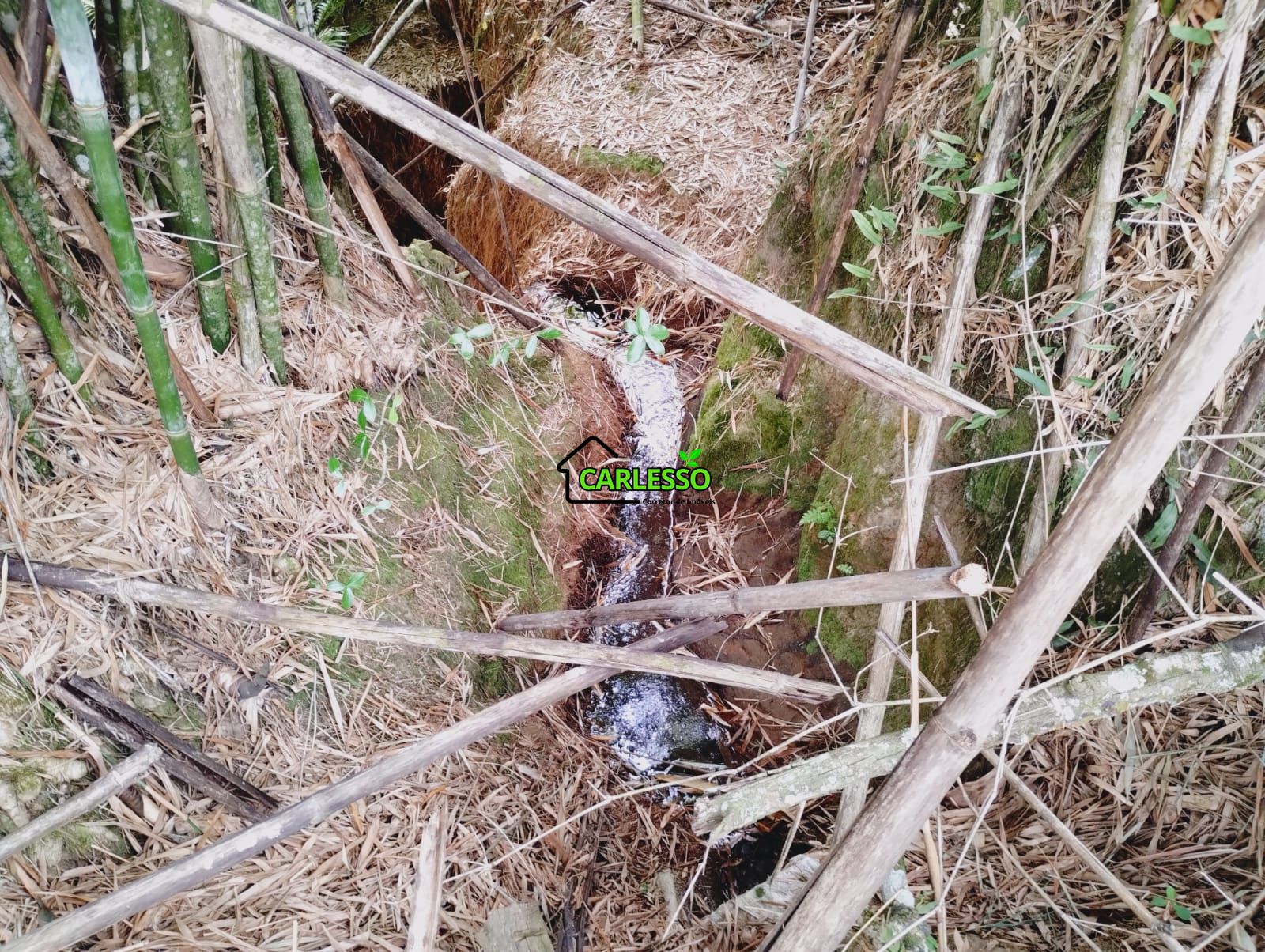 Sítio, 25 hectares - Foto 27