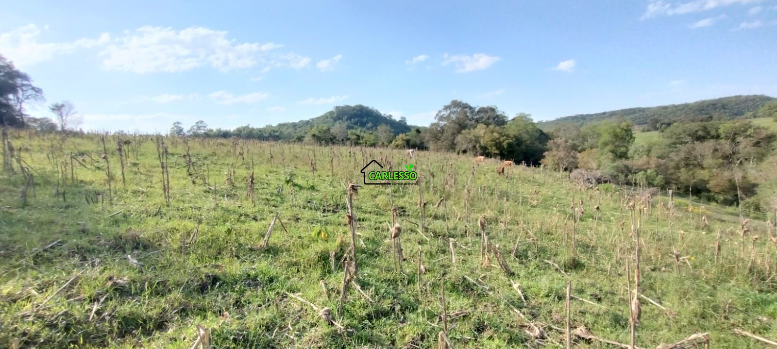 Área rural de 5 ha