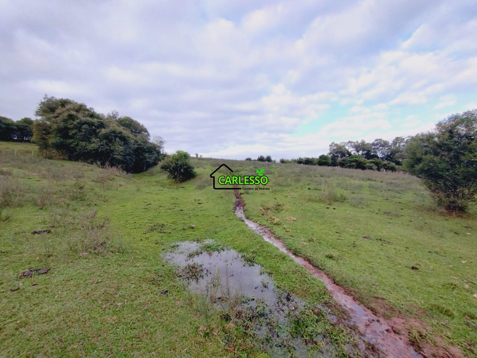 Terreno, 6 hectares - Foto 32