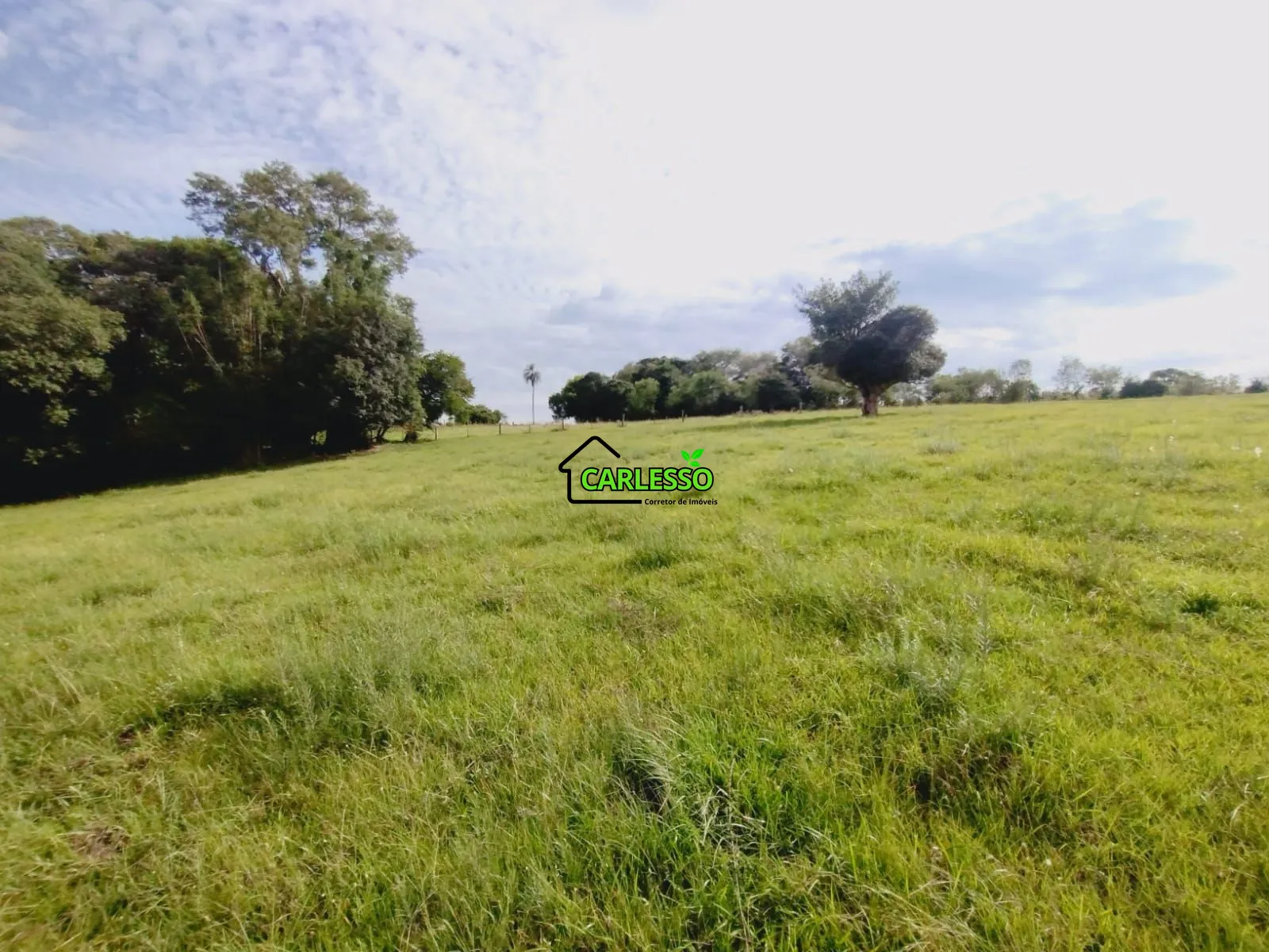 Sítio, 3 quartos, 4 hectares - Foto 49