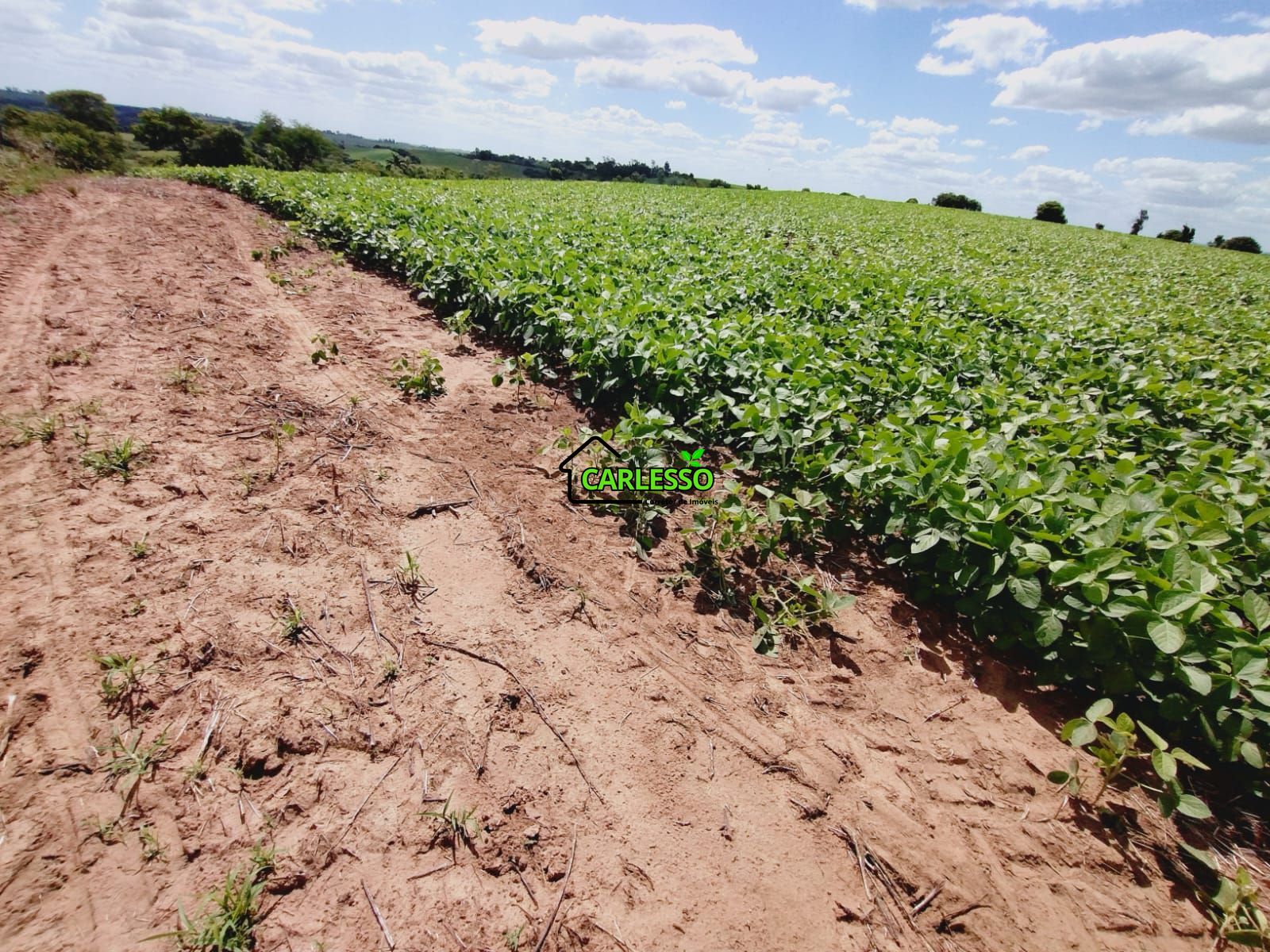 Sítio, 25 hectares - Foto 12