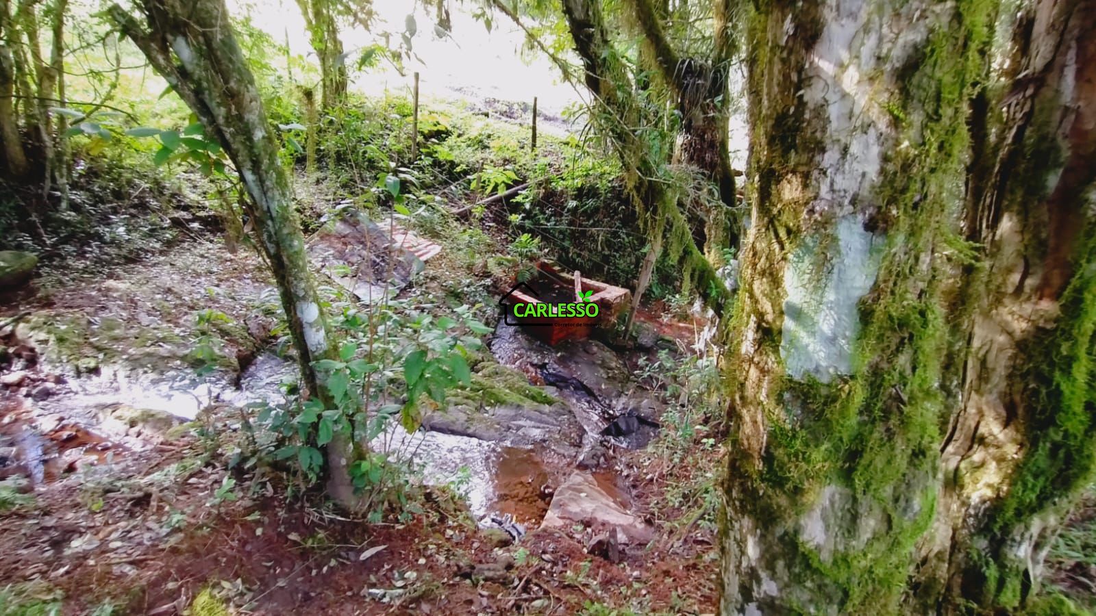 Área rural de 6 ha
