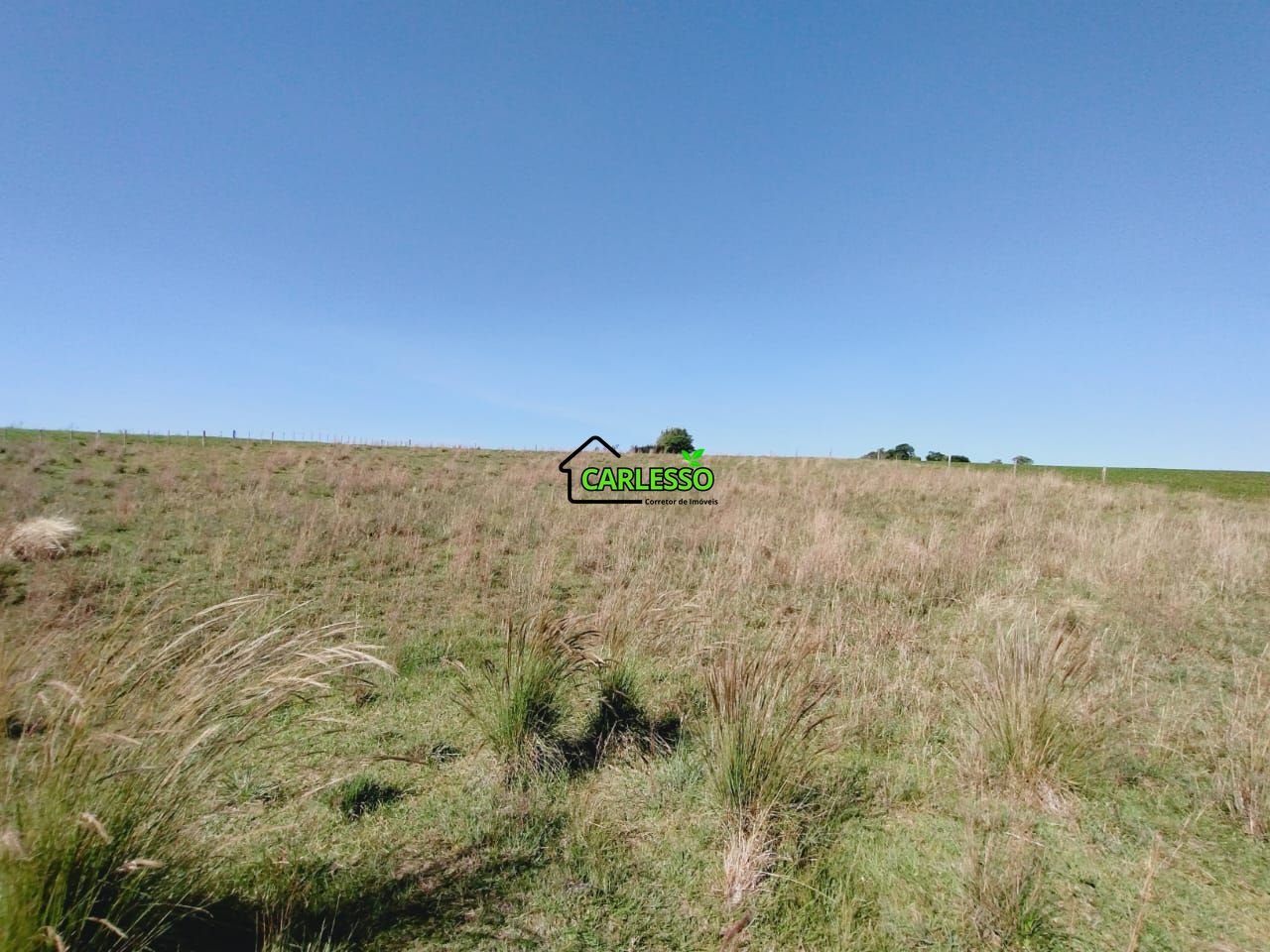 Chácara, 2 quartos, 2 hectares - Foto 48