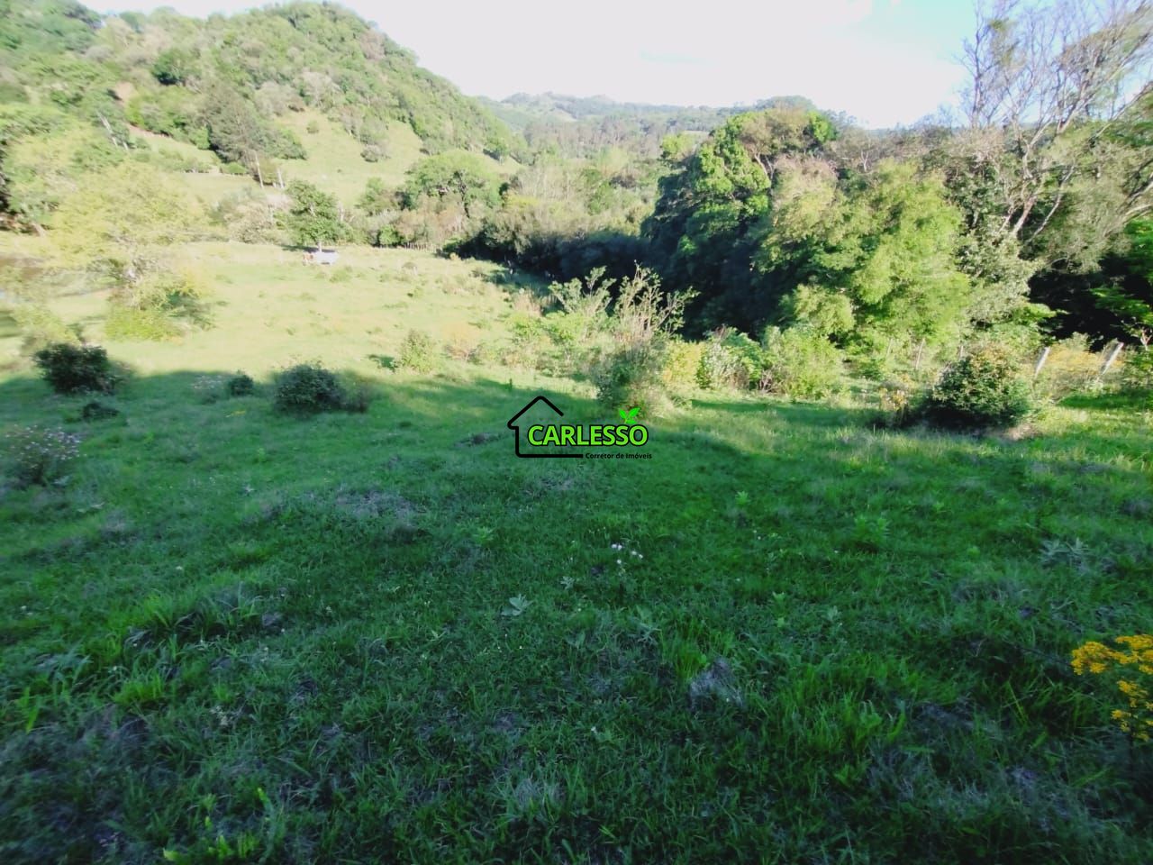 Chácara, 2 quartos, 7 hectares - Foto 40