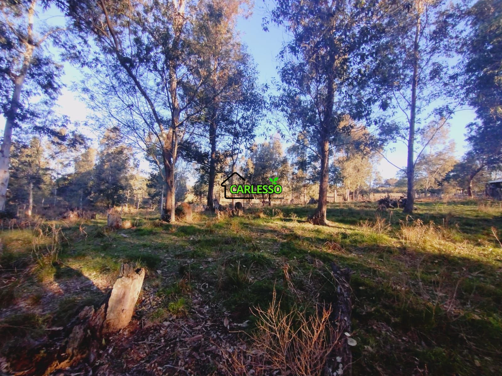 Sítio, 3 quartos, 7 hectares - Foto 24