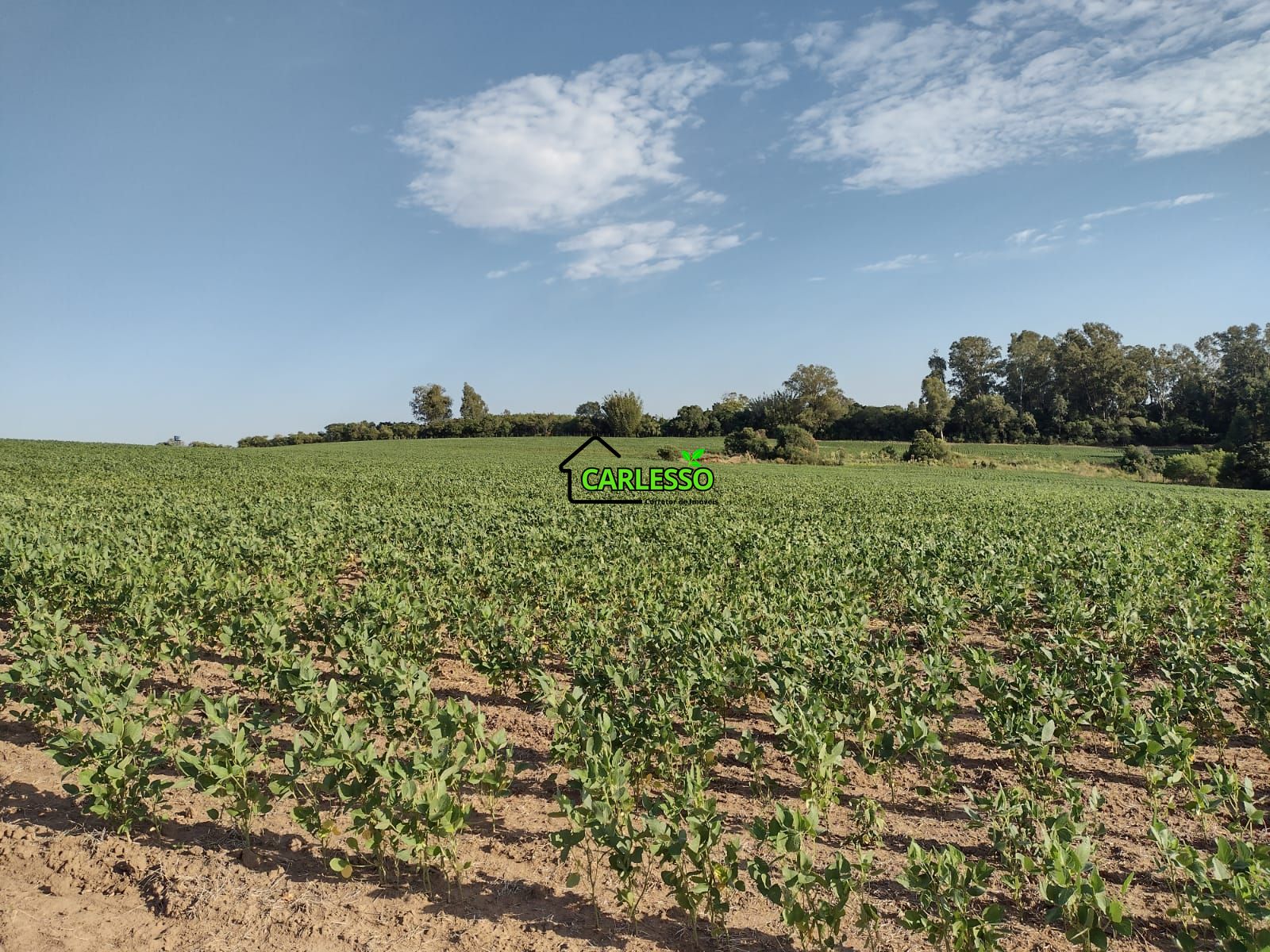 Fazenda com 63 ha