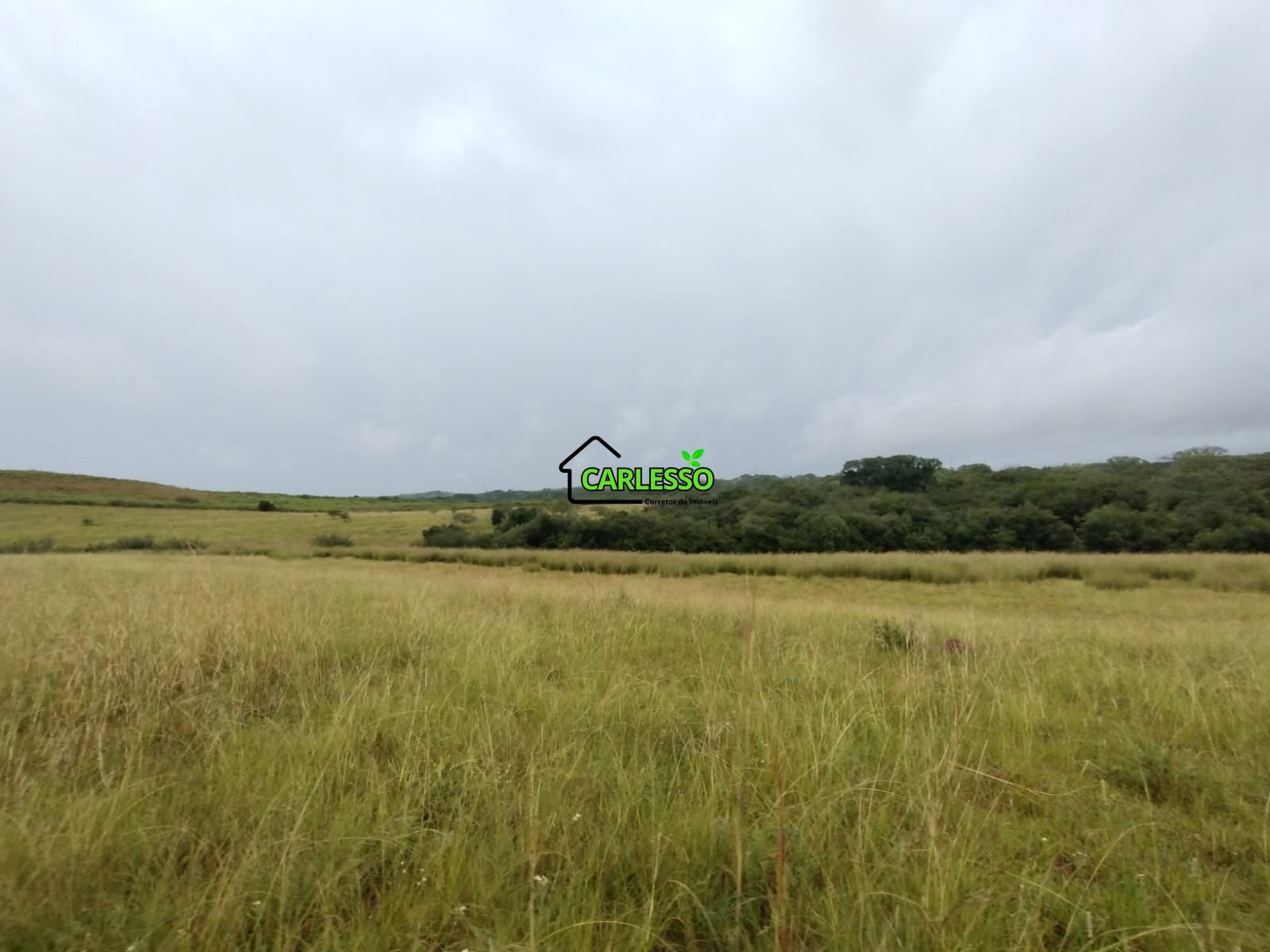 Fazenda de 80 ha em Alegrete