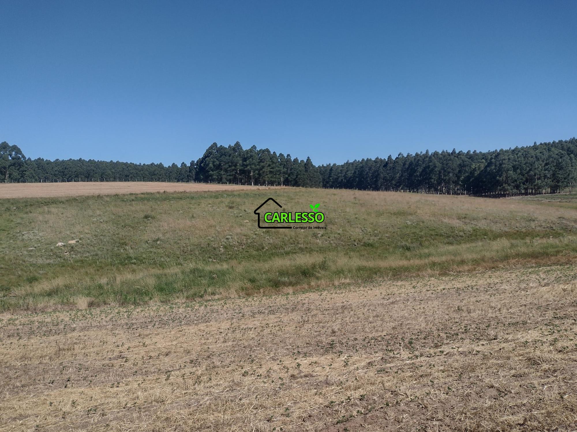 Sítio, 18 hectares - Foto 40