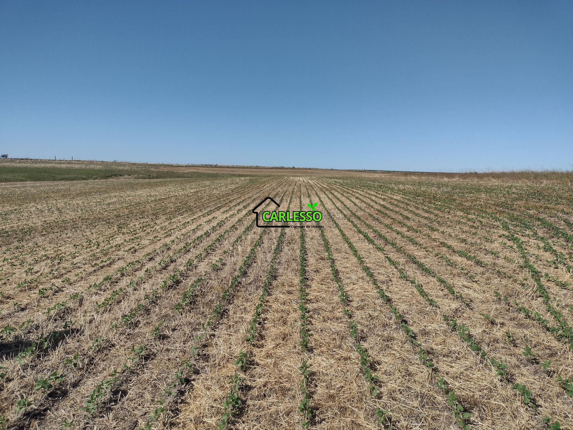 Sítio, 18 hectares - Foto 16