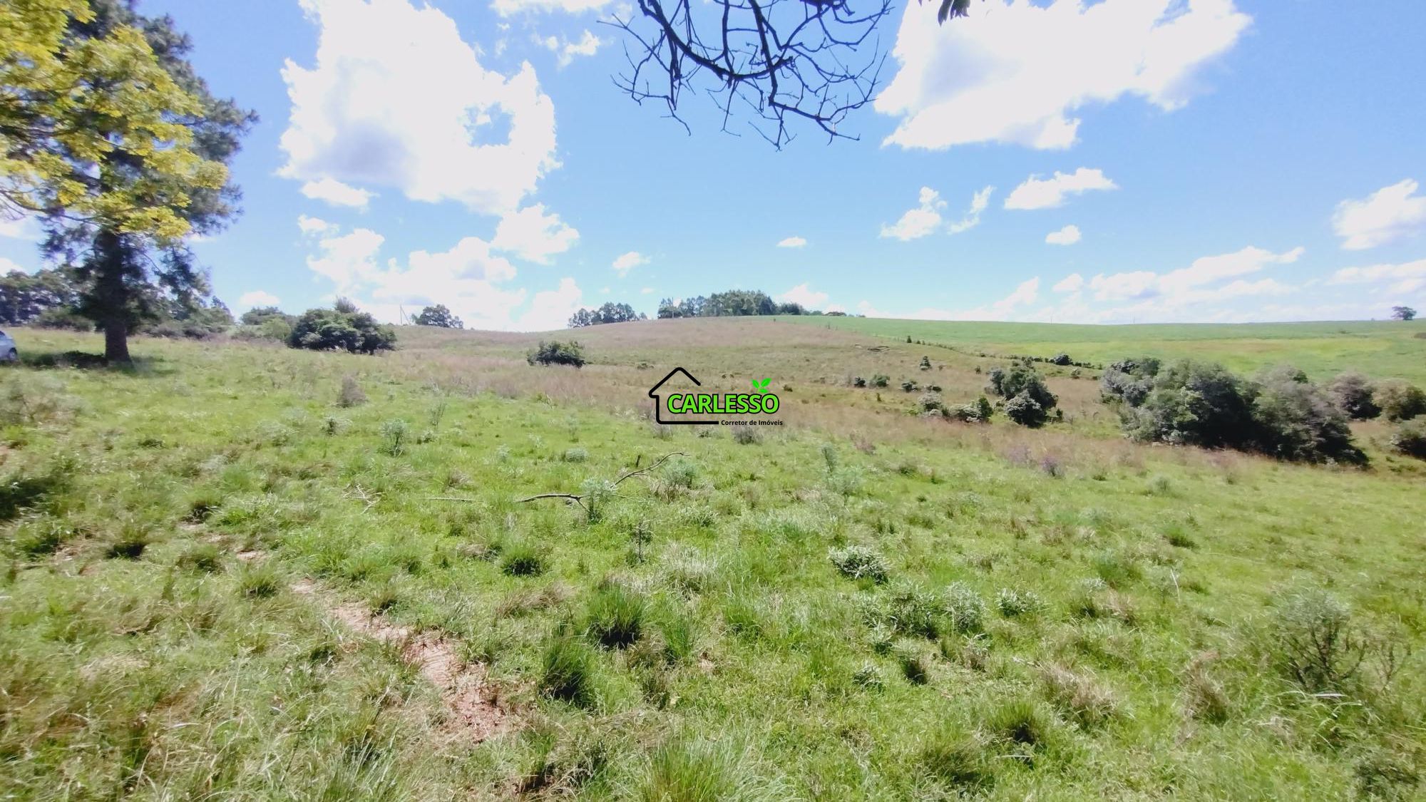 Área rural