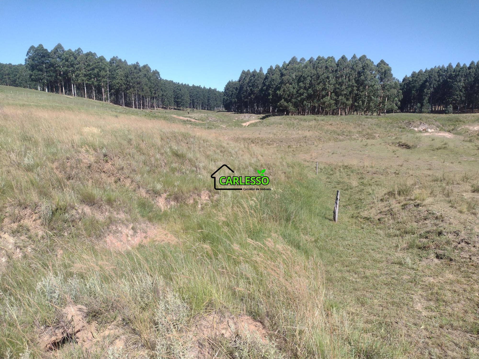 Sítio, 18 hectares - Foto 28