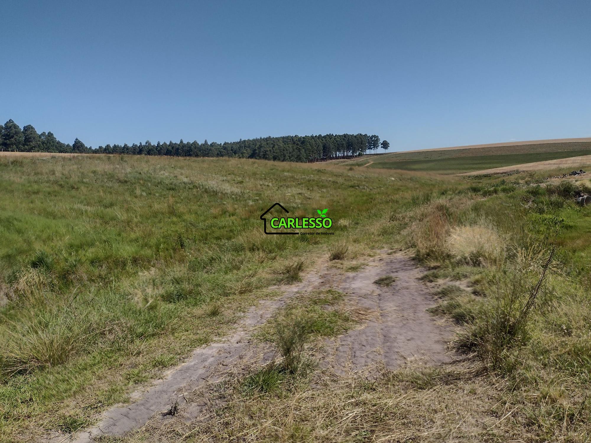 Sítio, 18 hectares - Foto 43