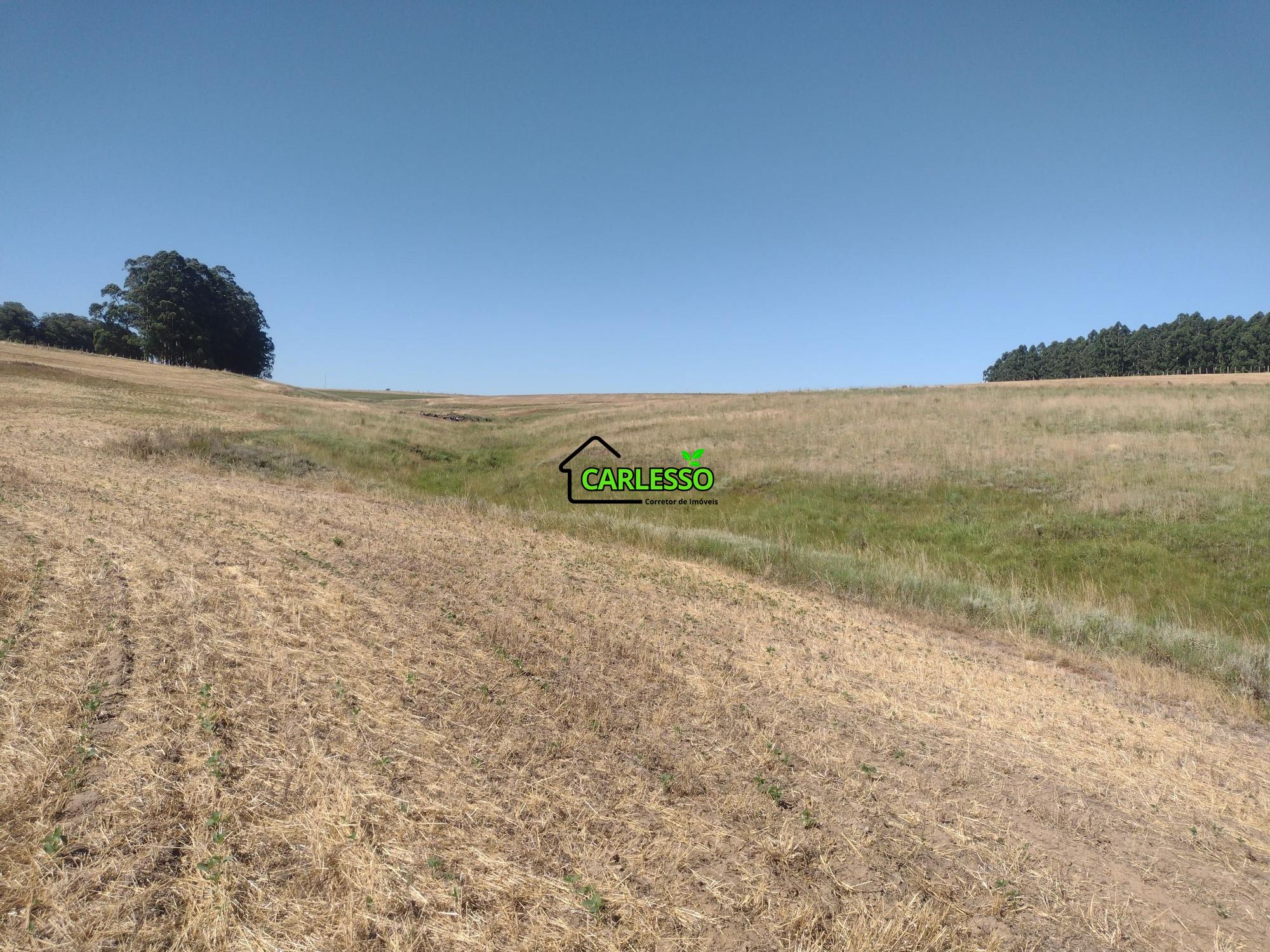 Sítio, 18 hectares - Foto 21