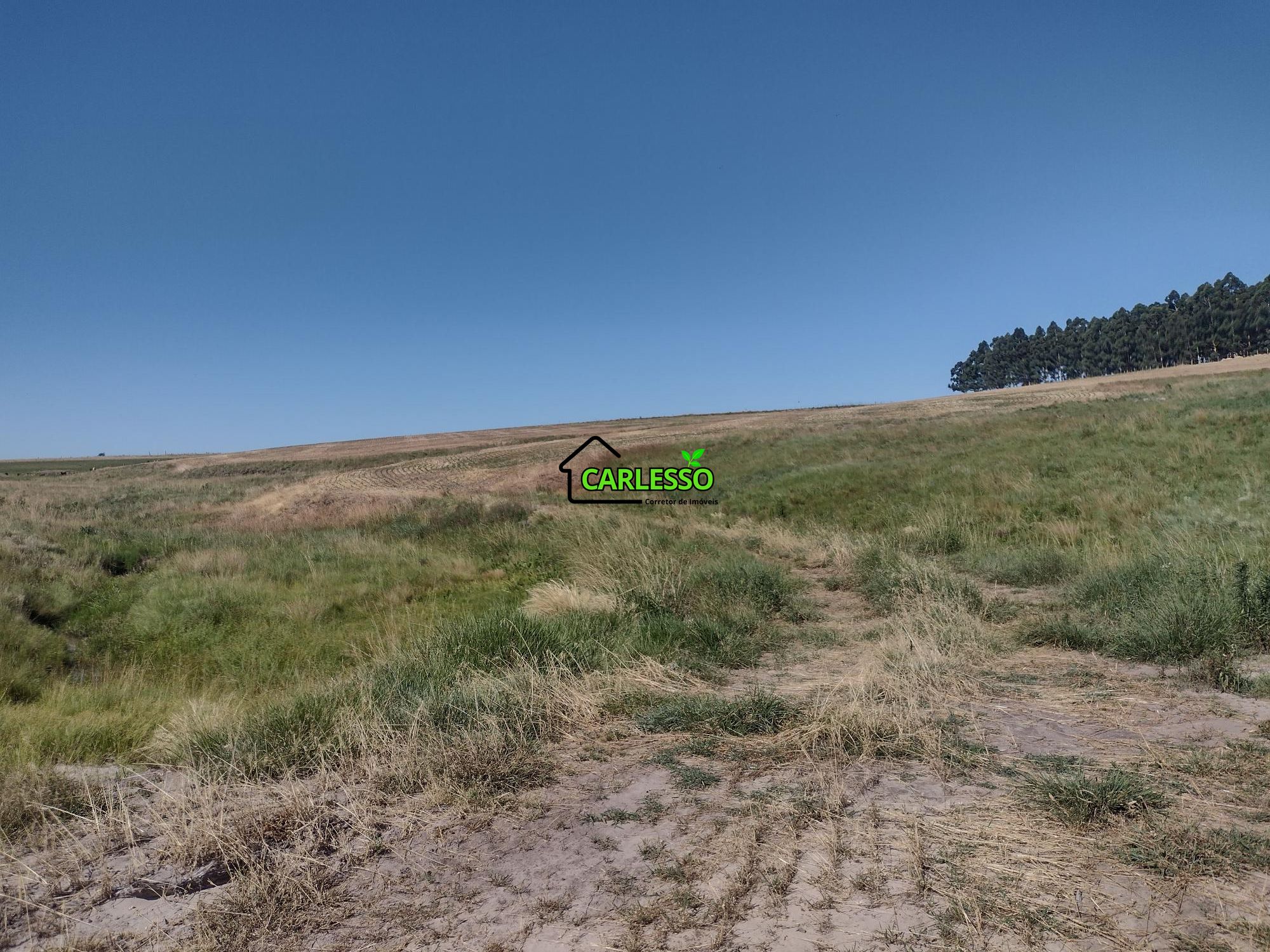 Sítio, 18 hectares - Foto 42