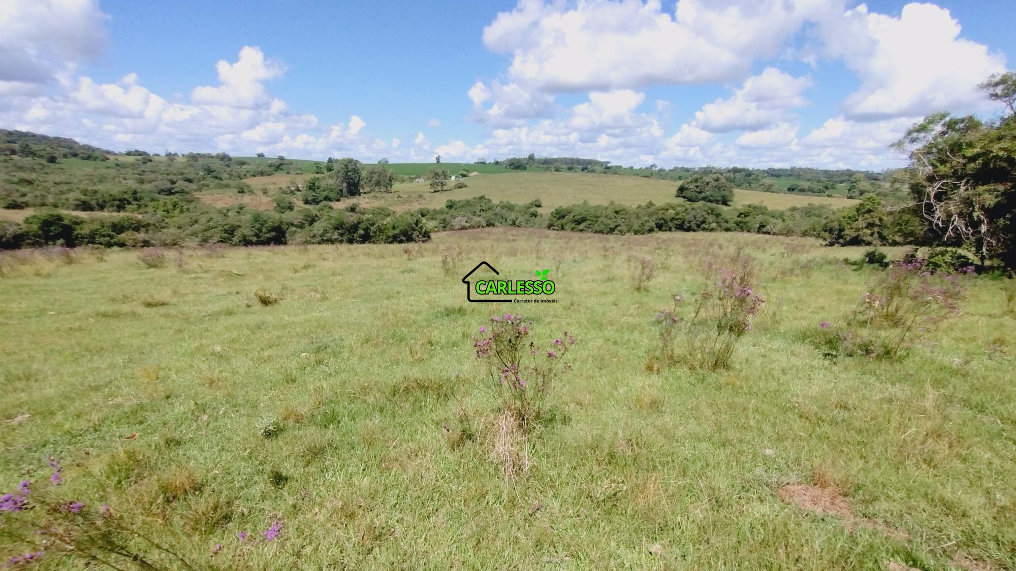 Área rural