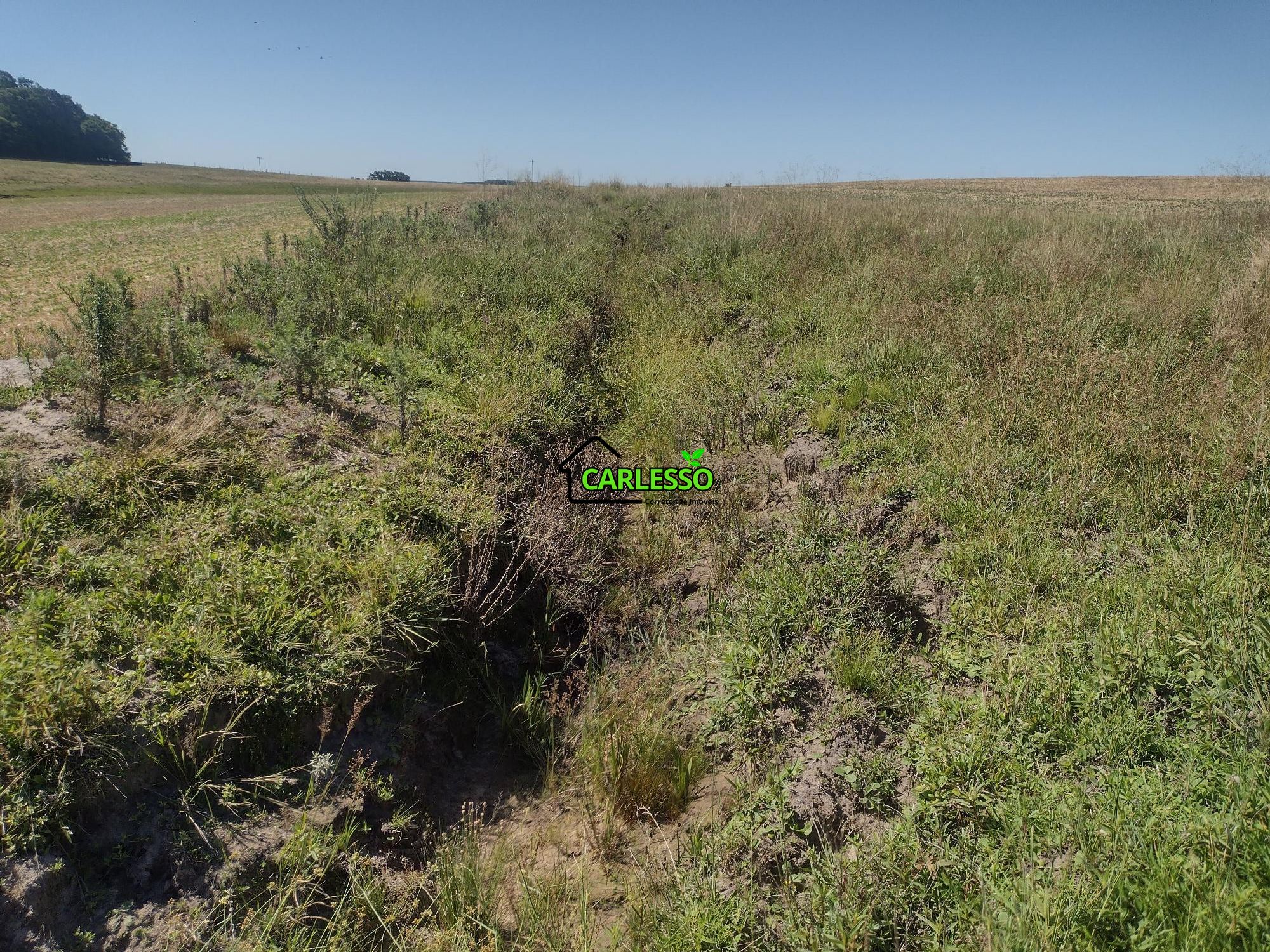 Sítio, 18 hectares - Foto 57