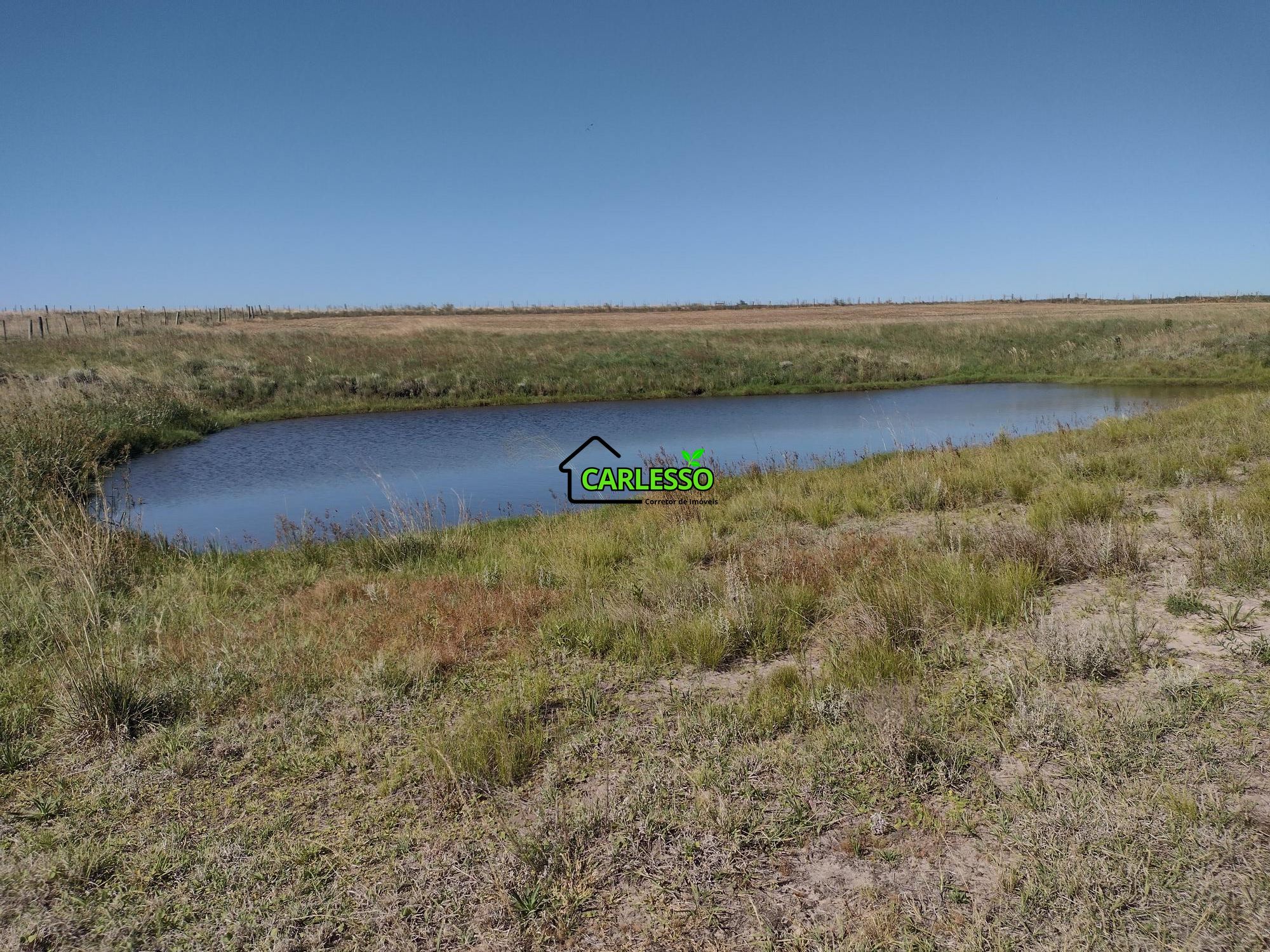 Sítio, 18 hectares - Foto 14