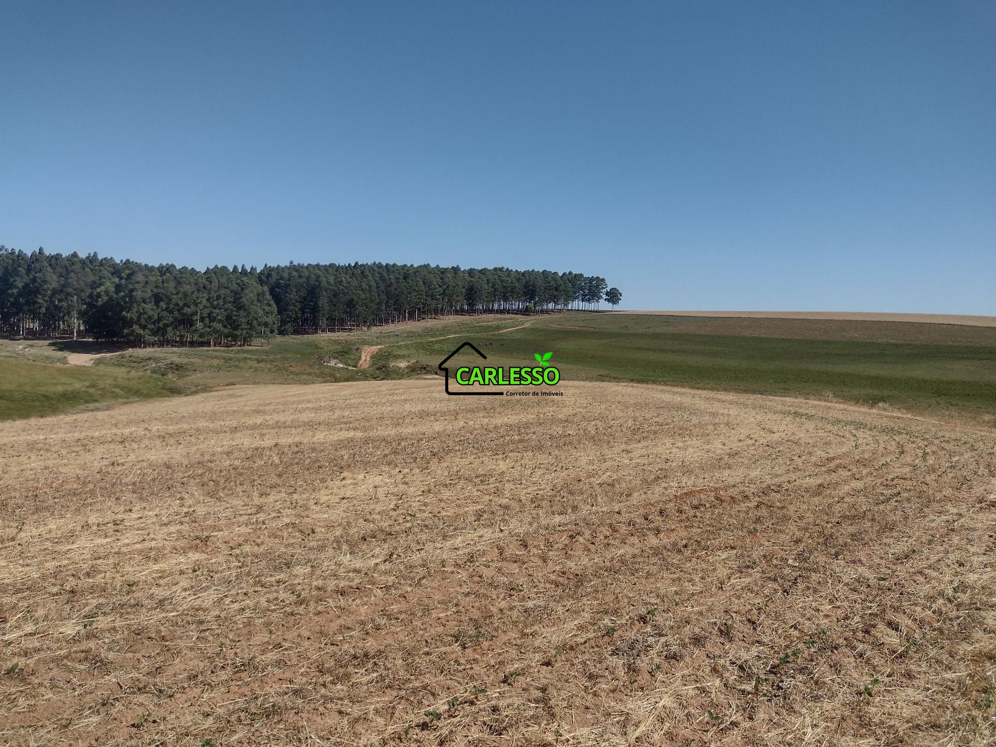 Sítio, 18 hectares - Foto 35