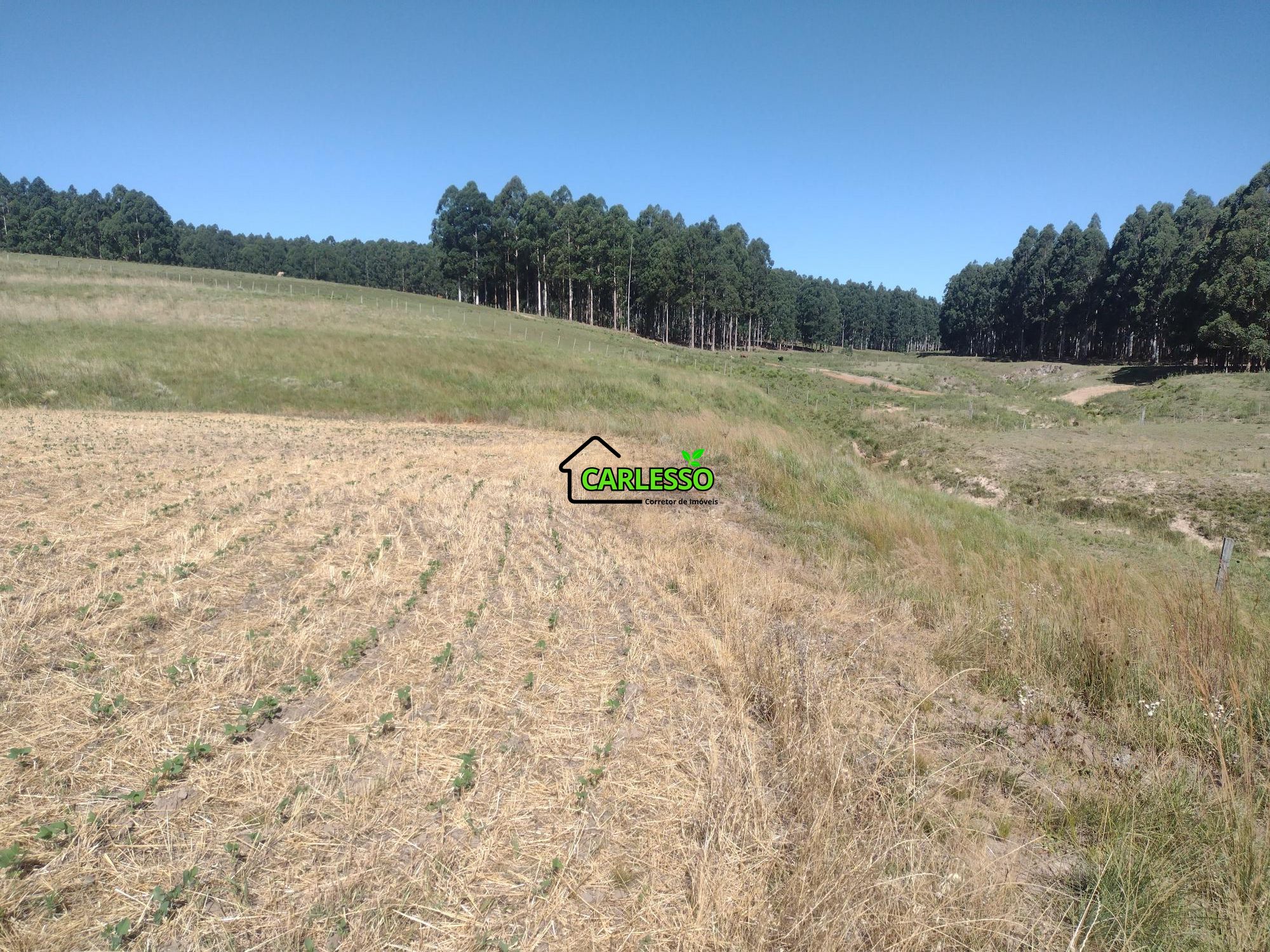 Sítio, 18 hectares - Foto 26