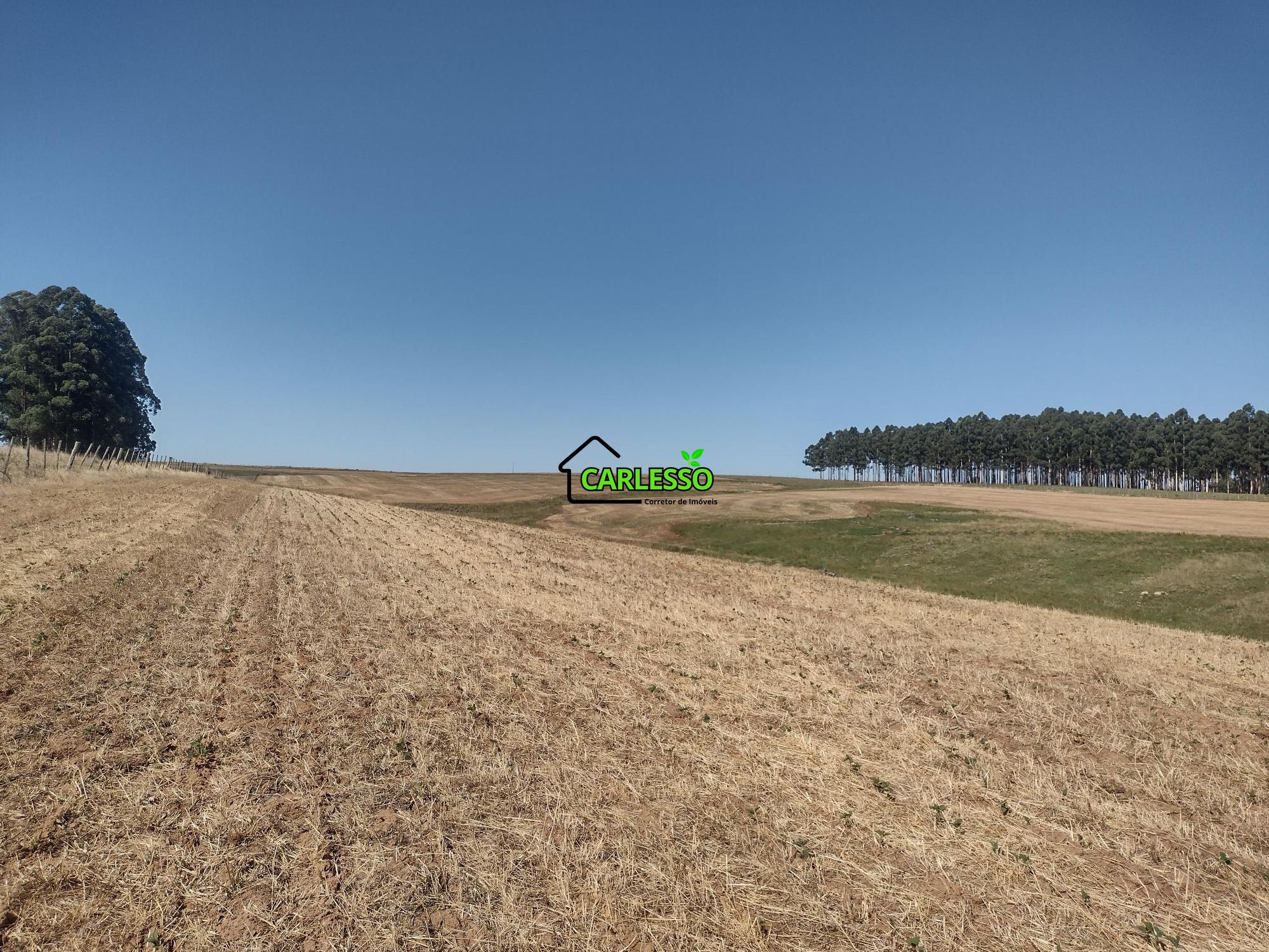 Sítio, 18 hectares - Foto 38