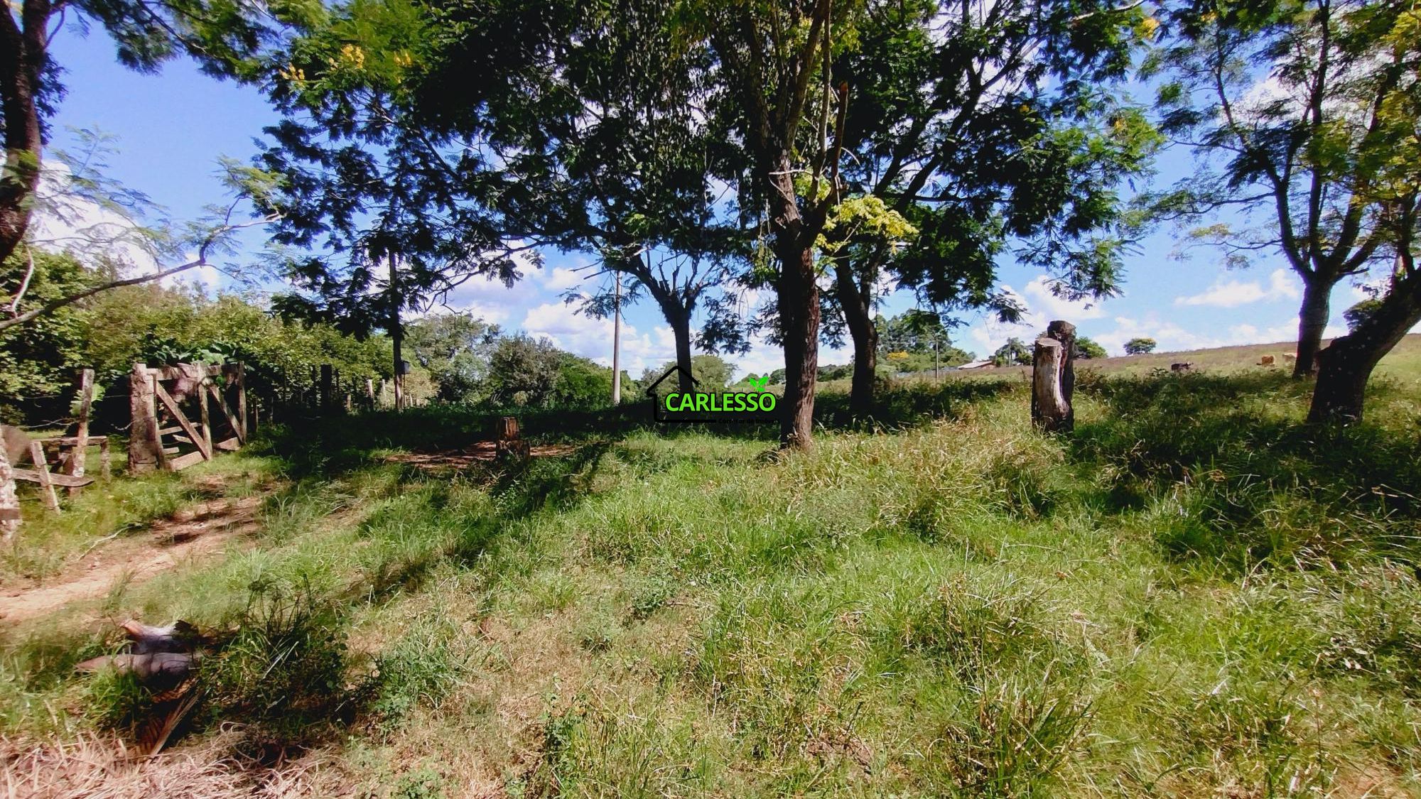 Área rural