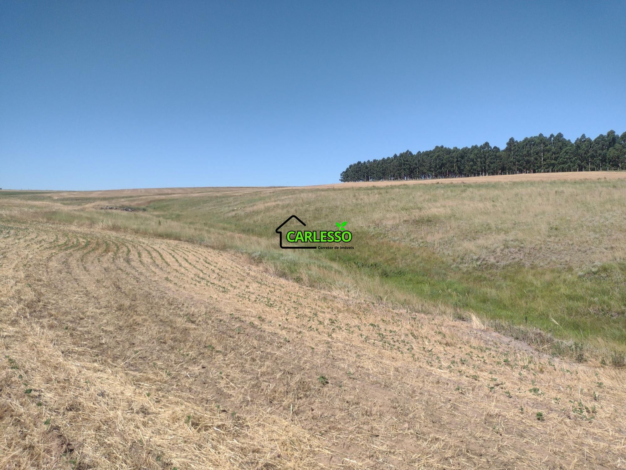 Sítio, 18 hectares - Foto 20