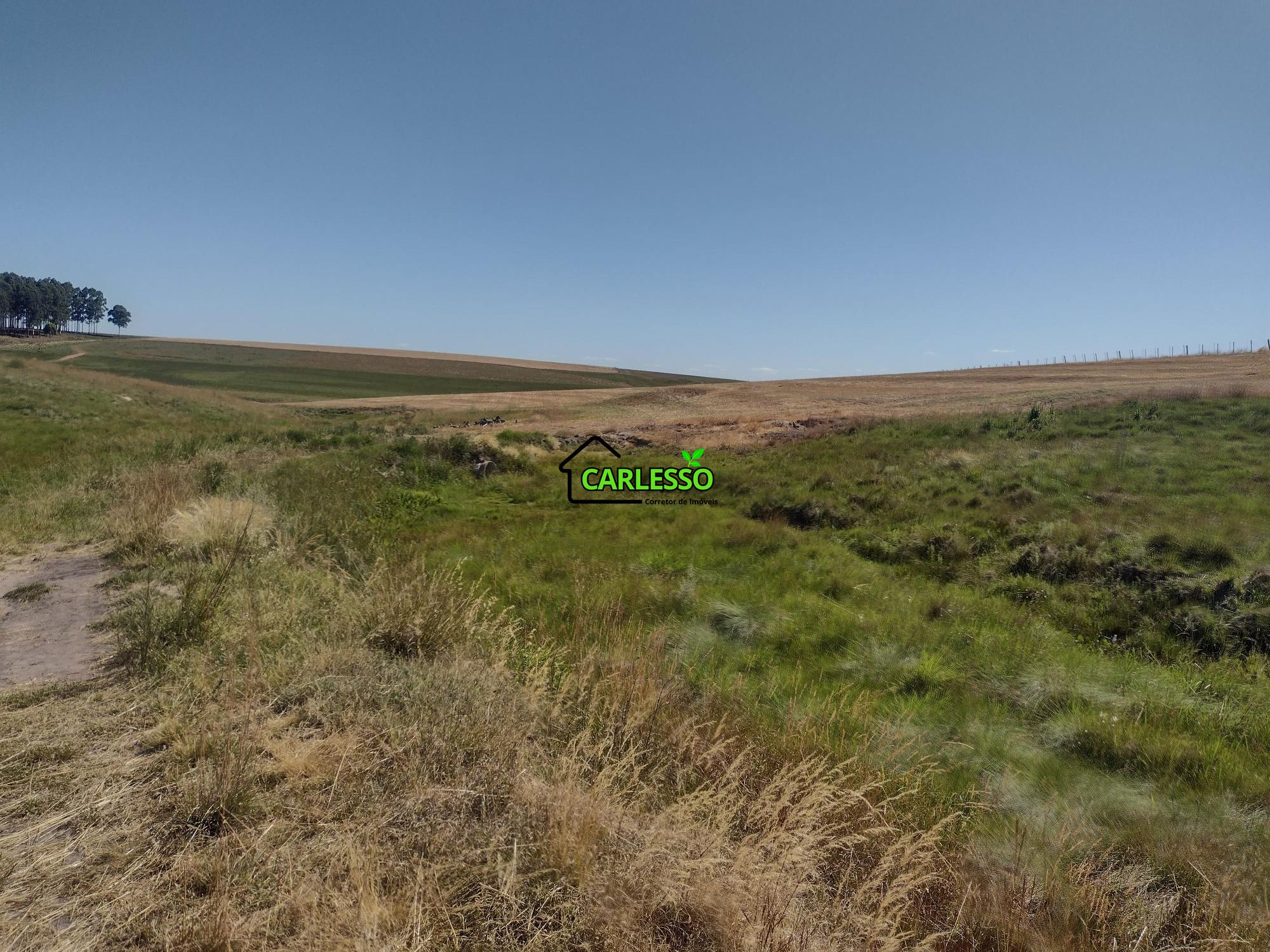 Sítio, 18 hectares - Foto 44