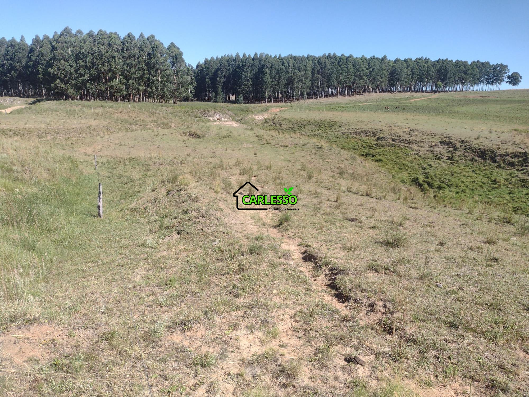 Sítio, 18 hectares - Foto 29