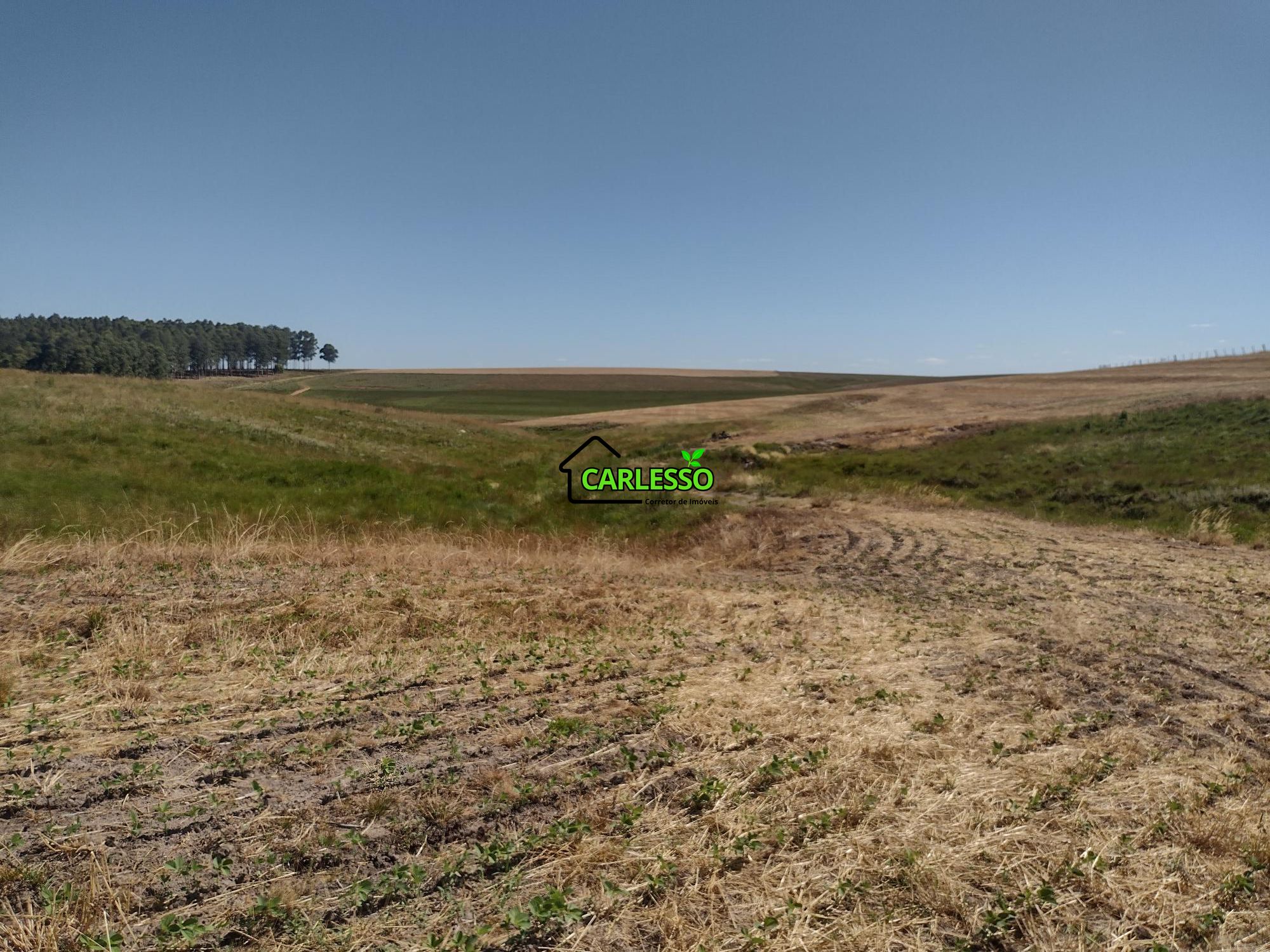 Sítio, 18 hectares - Foto 45