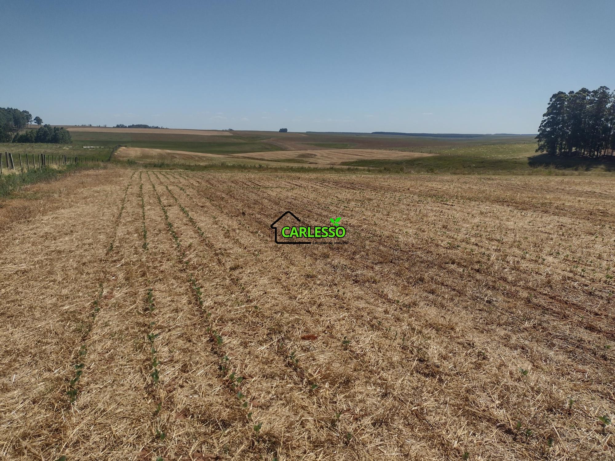 Sítio, 18 hectares - Foto 61